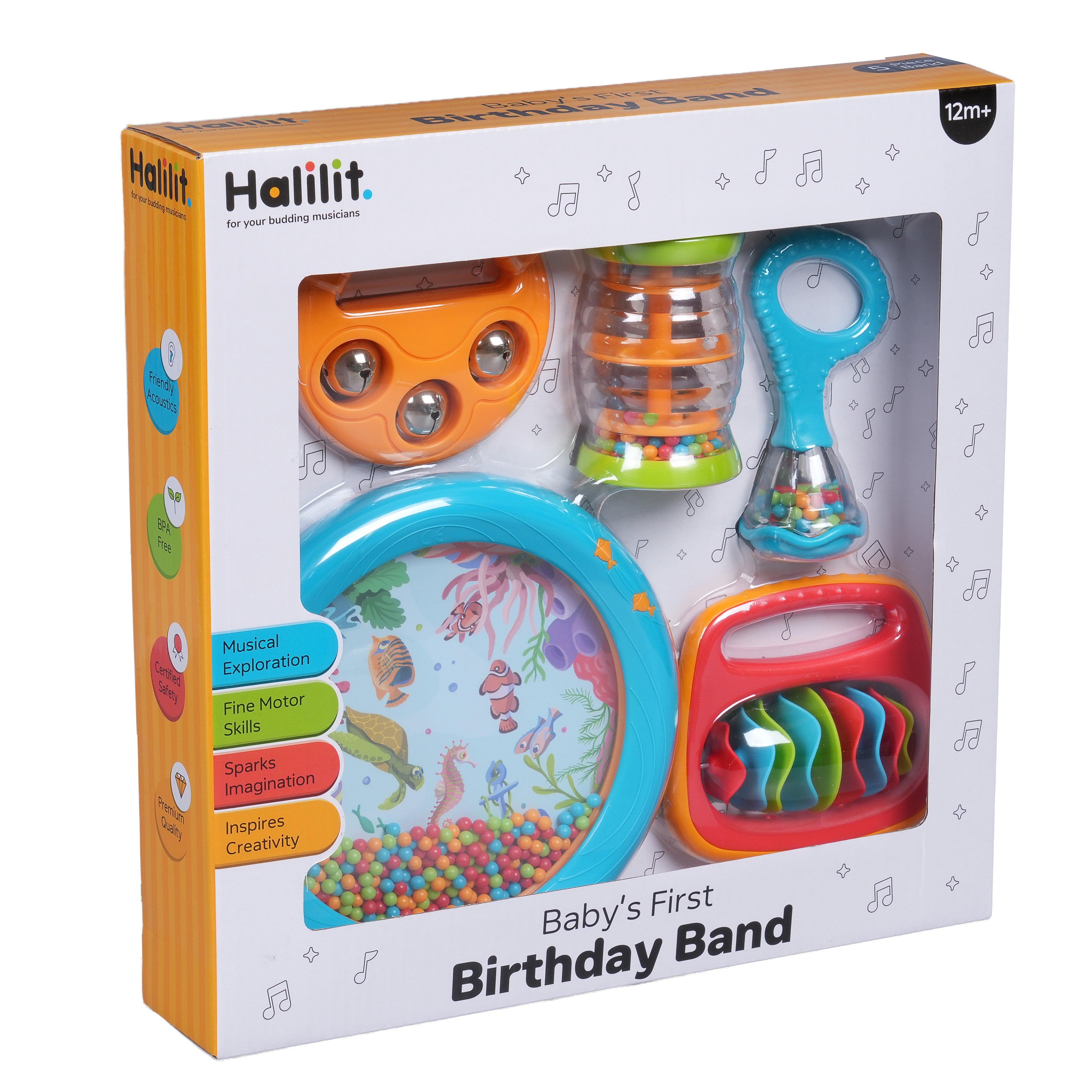 Baby's 1st Birthday Band