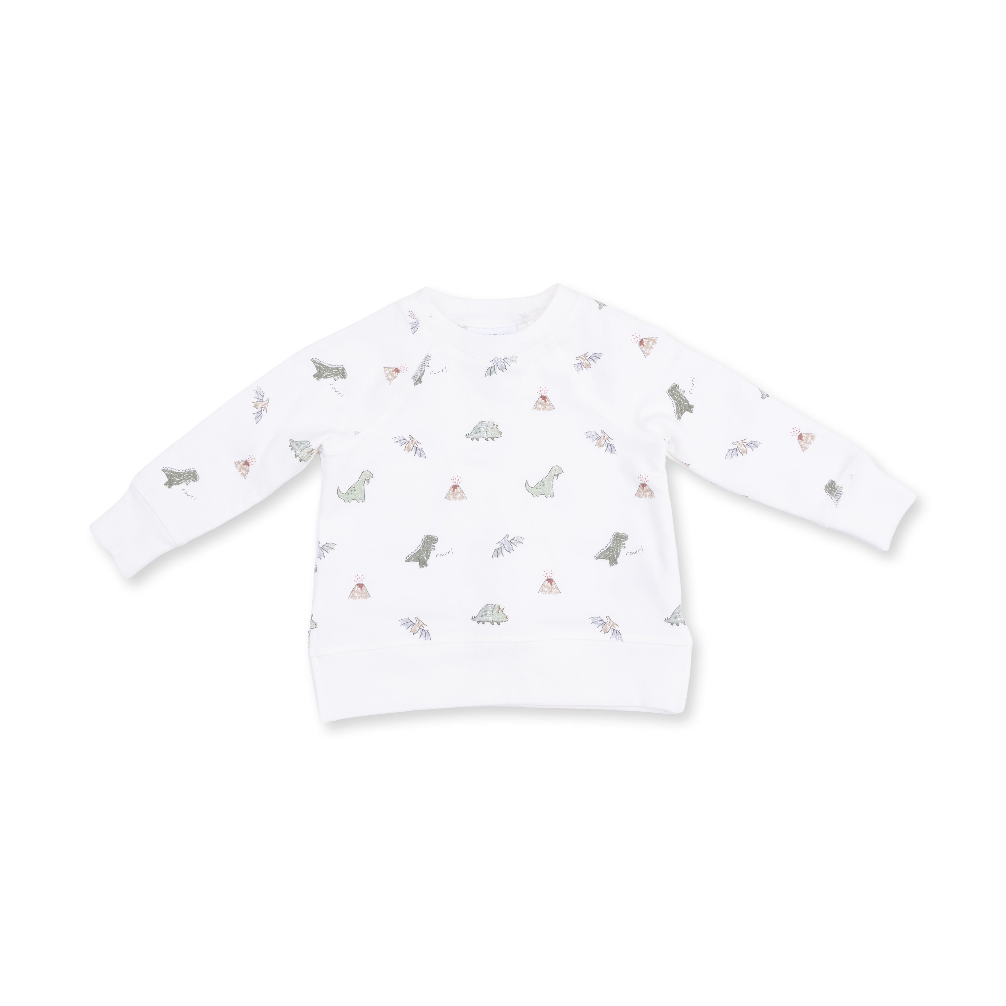 Dinos French Terry - Raglan Sweatshirt