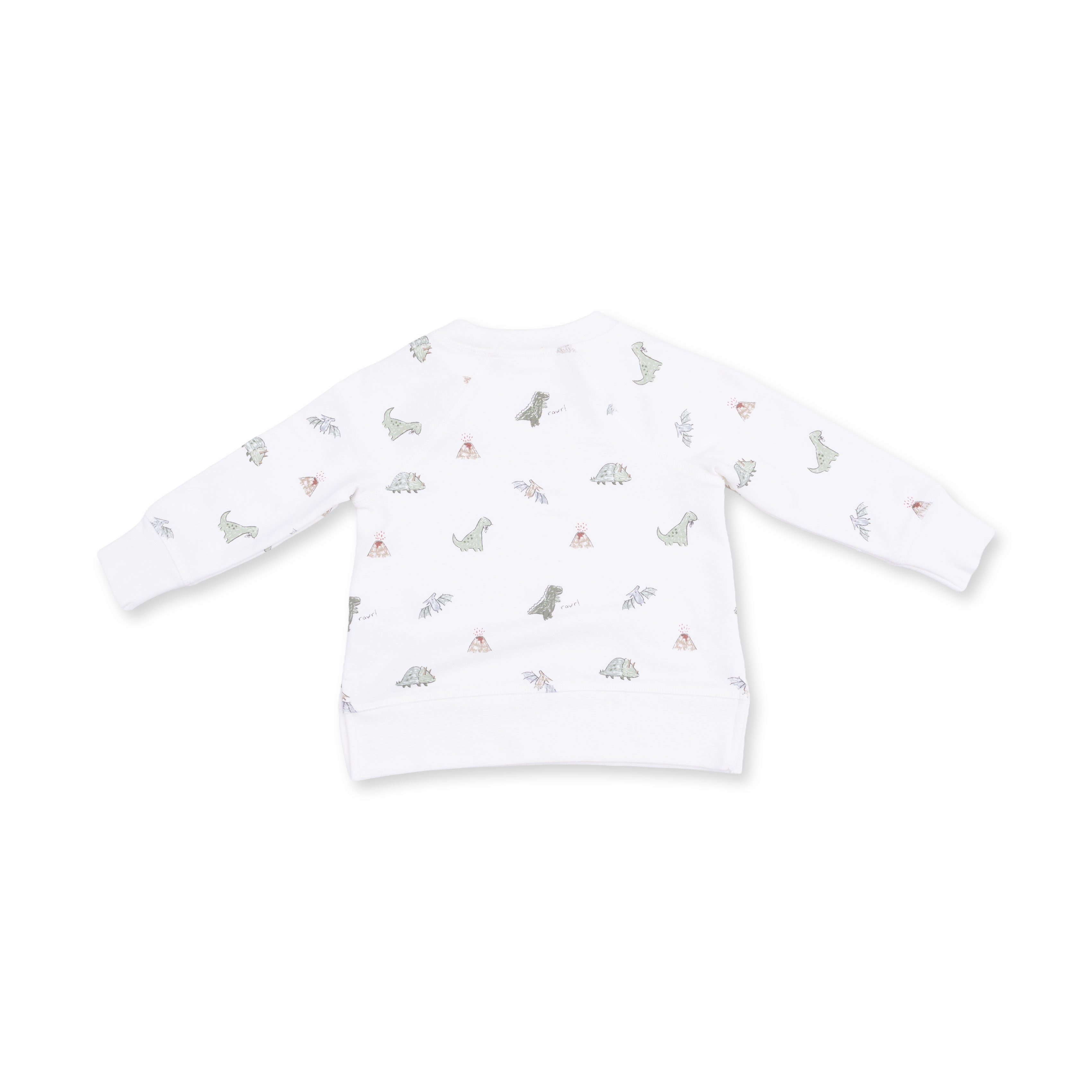 Dinos French Terry - Raglan Sweatshirt