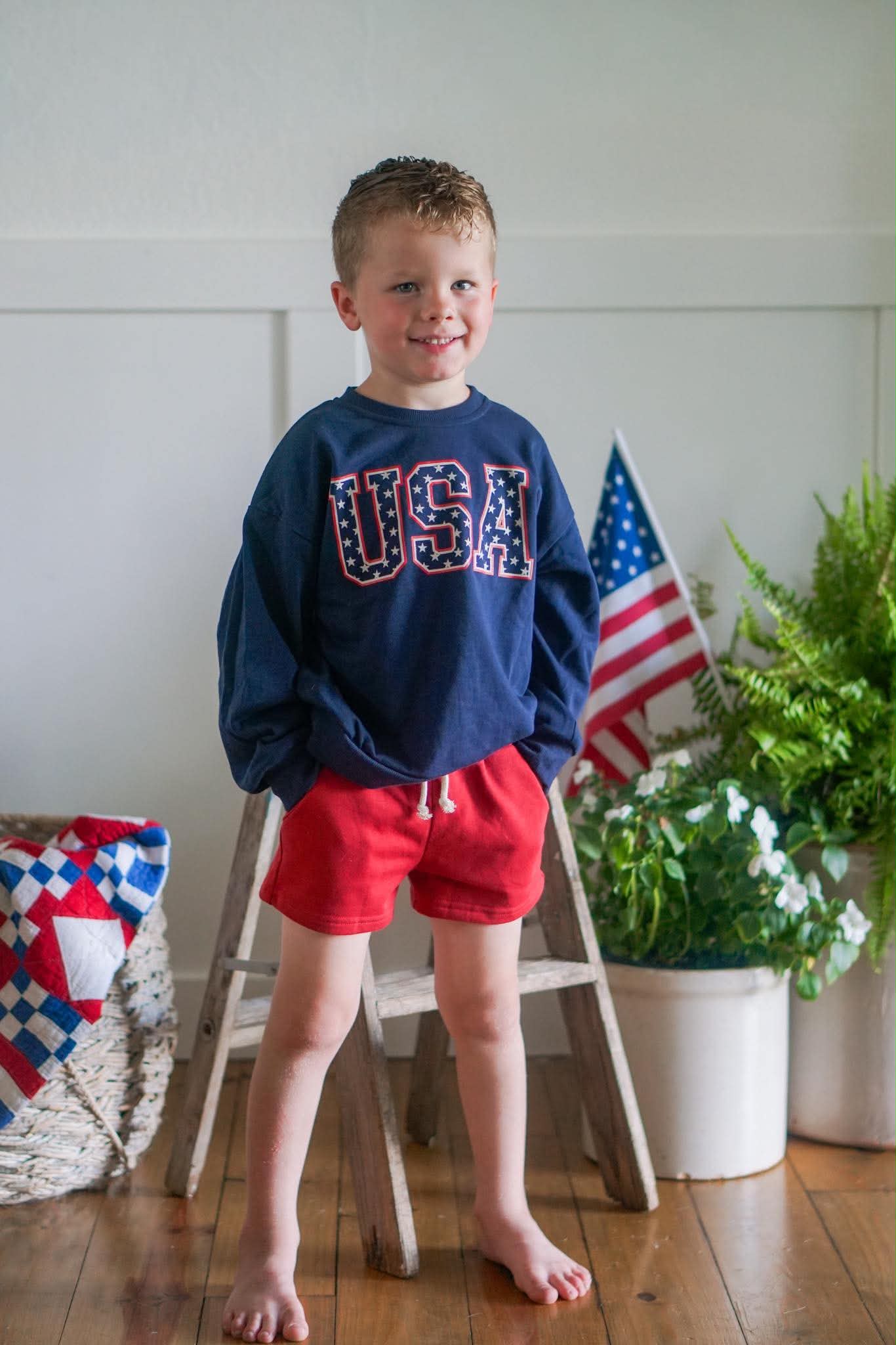 Usa Stars Crewneck Sweatshirt