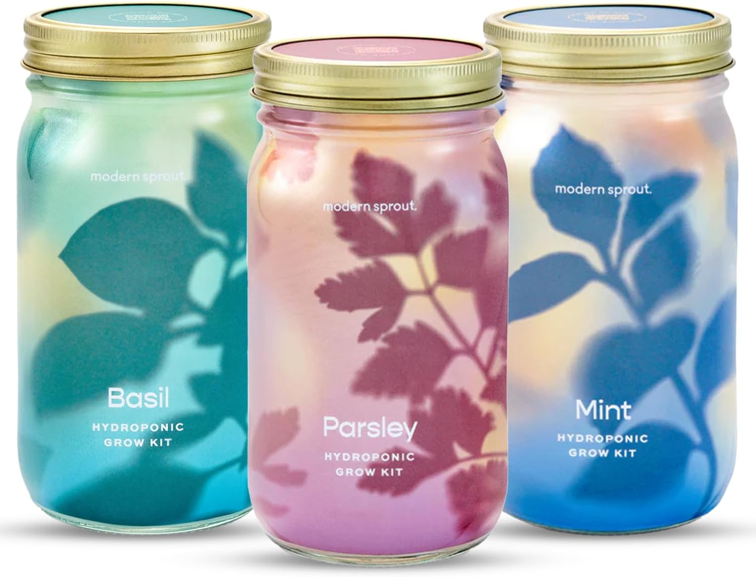 New! Garden Jars - Organic Herbs