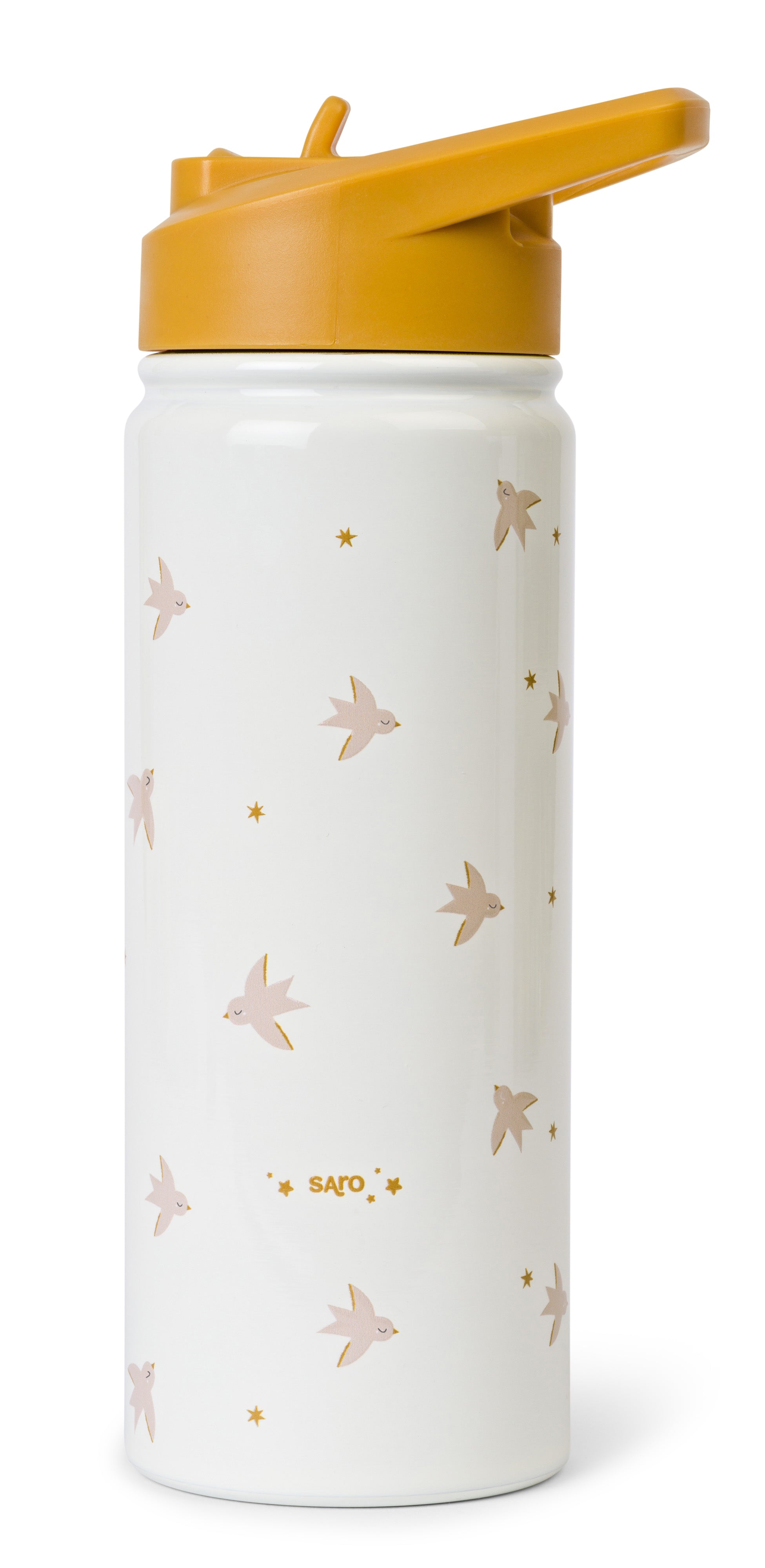Thermos Bottle with Straw 16.9 fl oz. - Fly Free