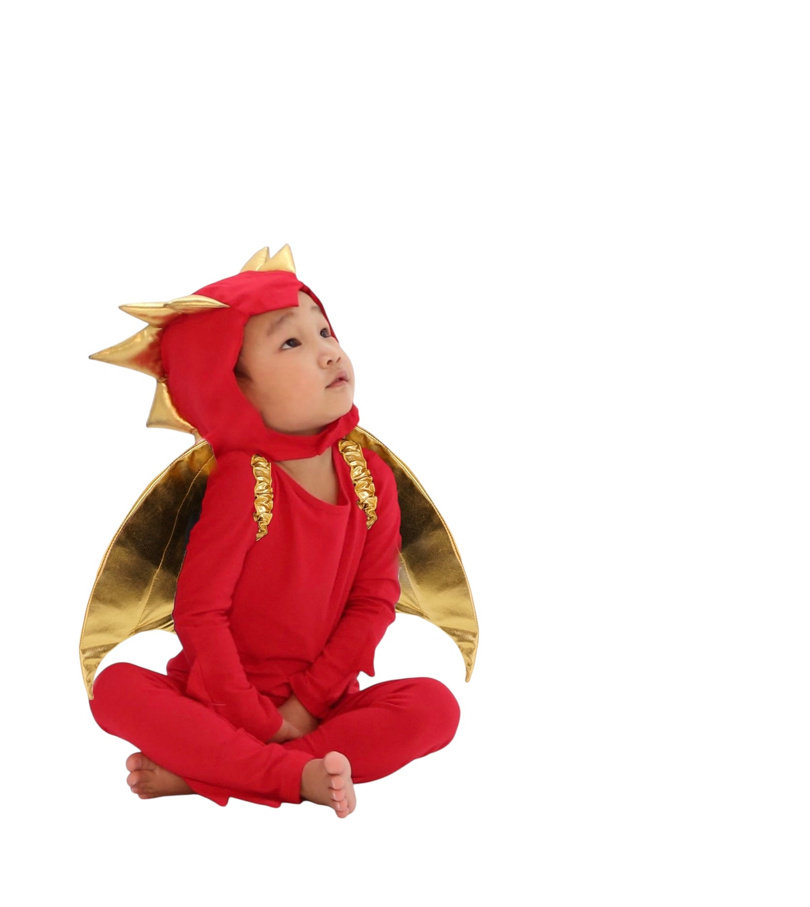 Sunfire Red Dragon With Gold Wings