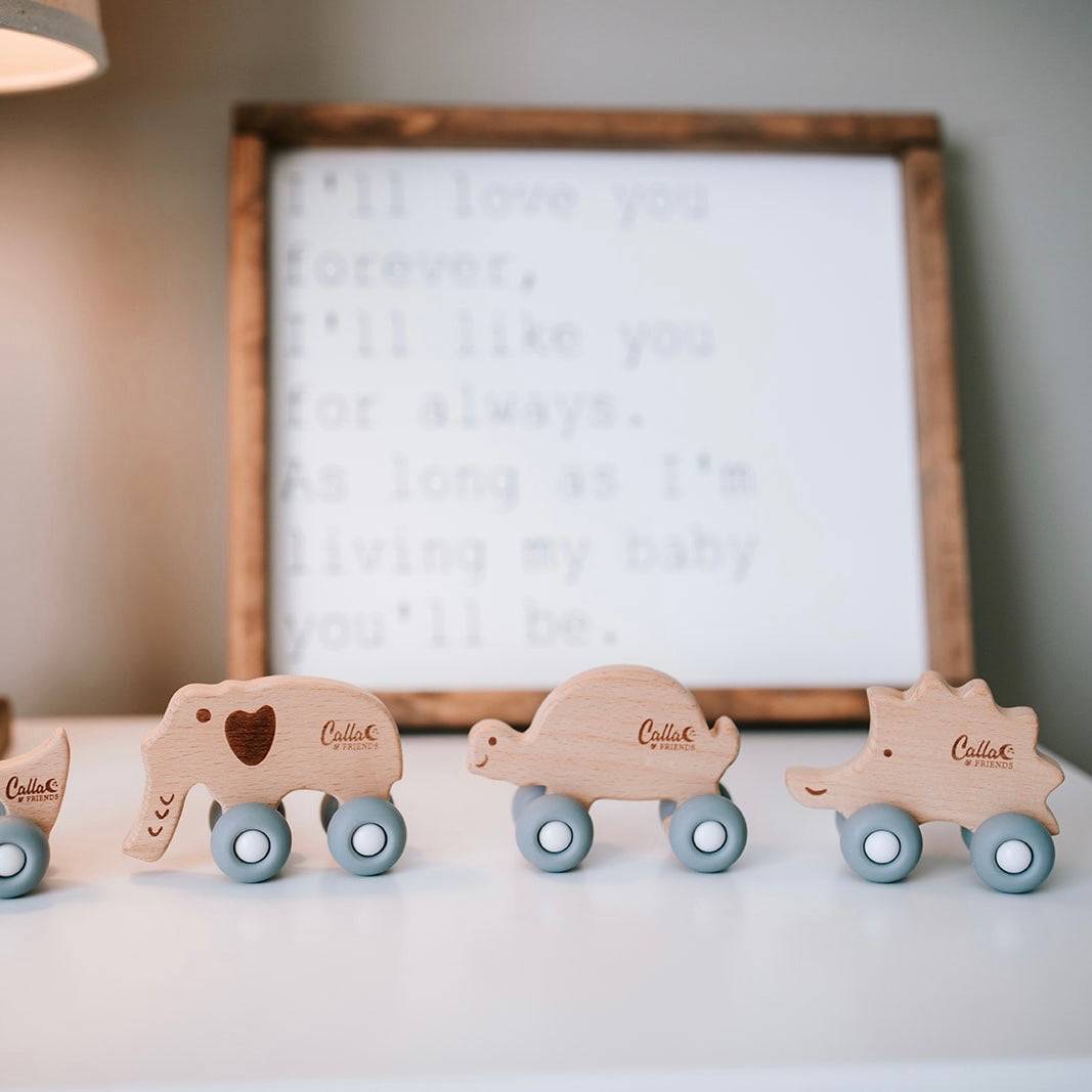 Beechwood Rollin’ Friends - Hedgehog