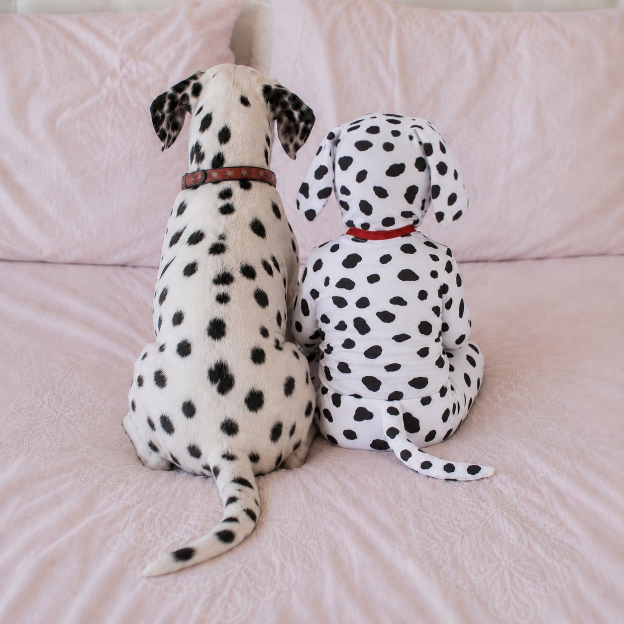 Dalmation Puppy Pajama Costume