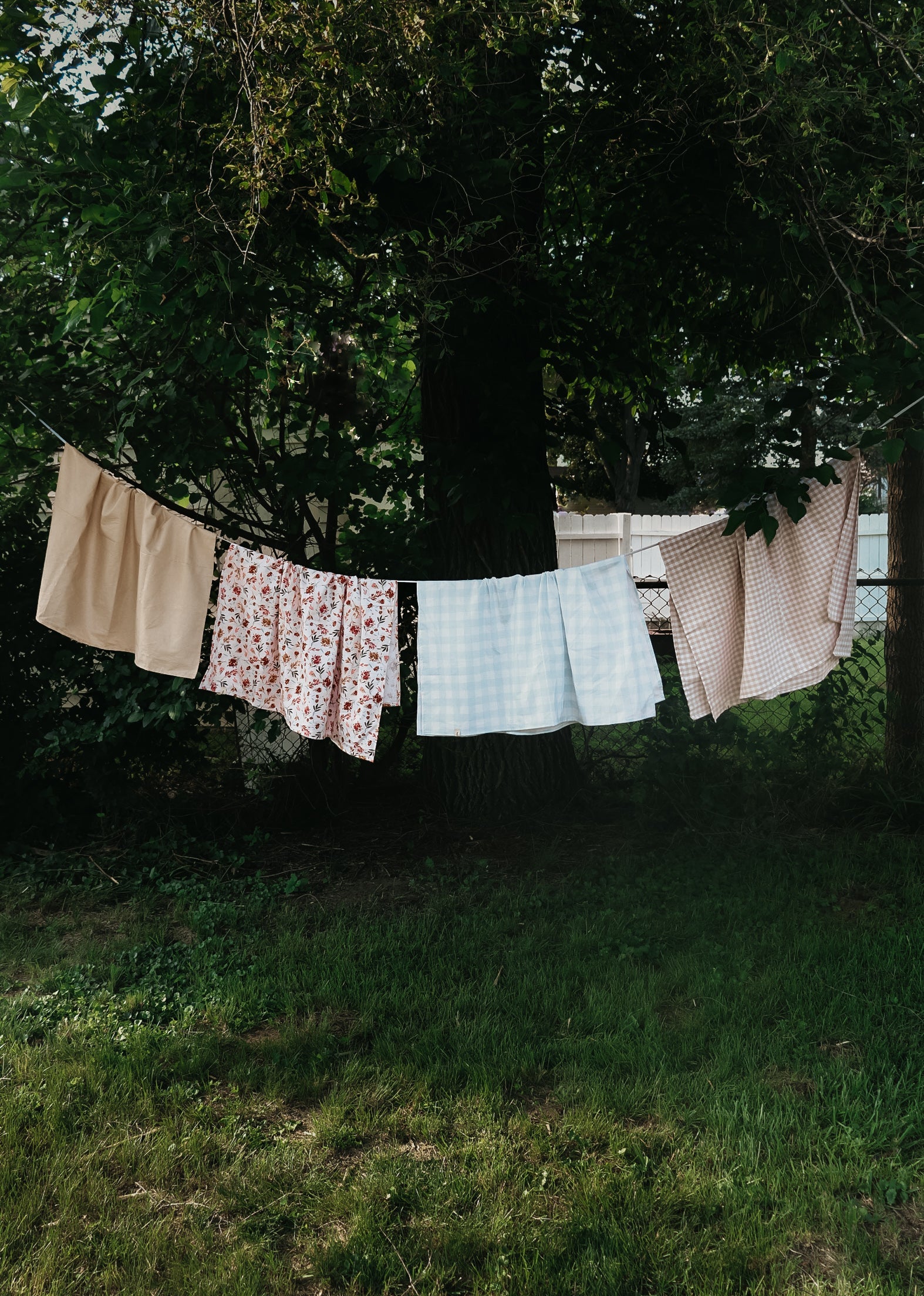 Botanical Pink Blanket
