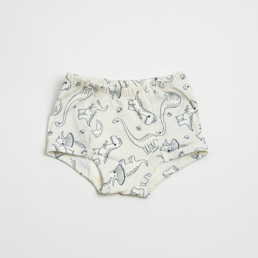 Adventure-ready Organic Potty Training Underwear (4 Pack)