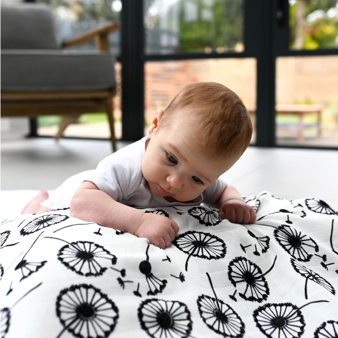 Xl Dandelion Muslin - For Newborn To 4 Months Old Babies