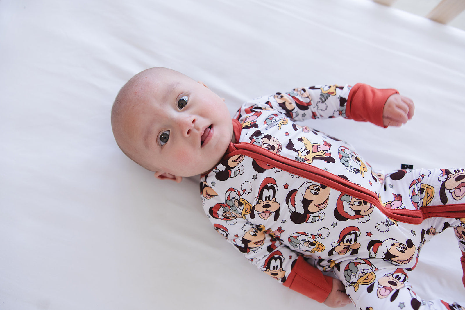 Very Merry Christmas - Zippy