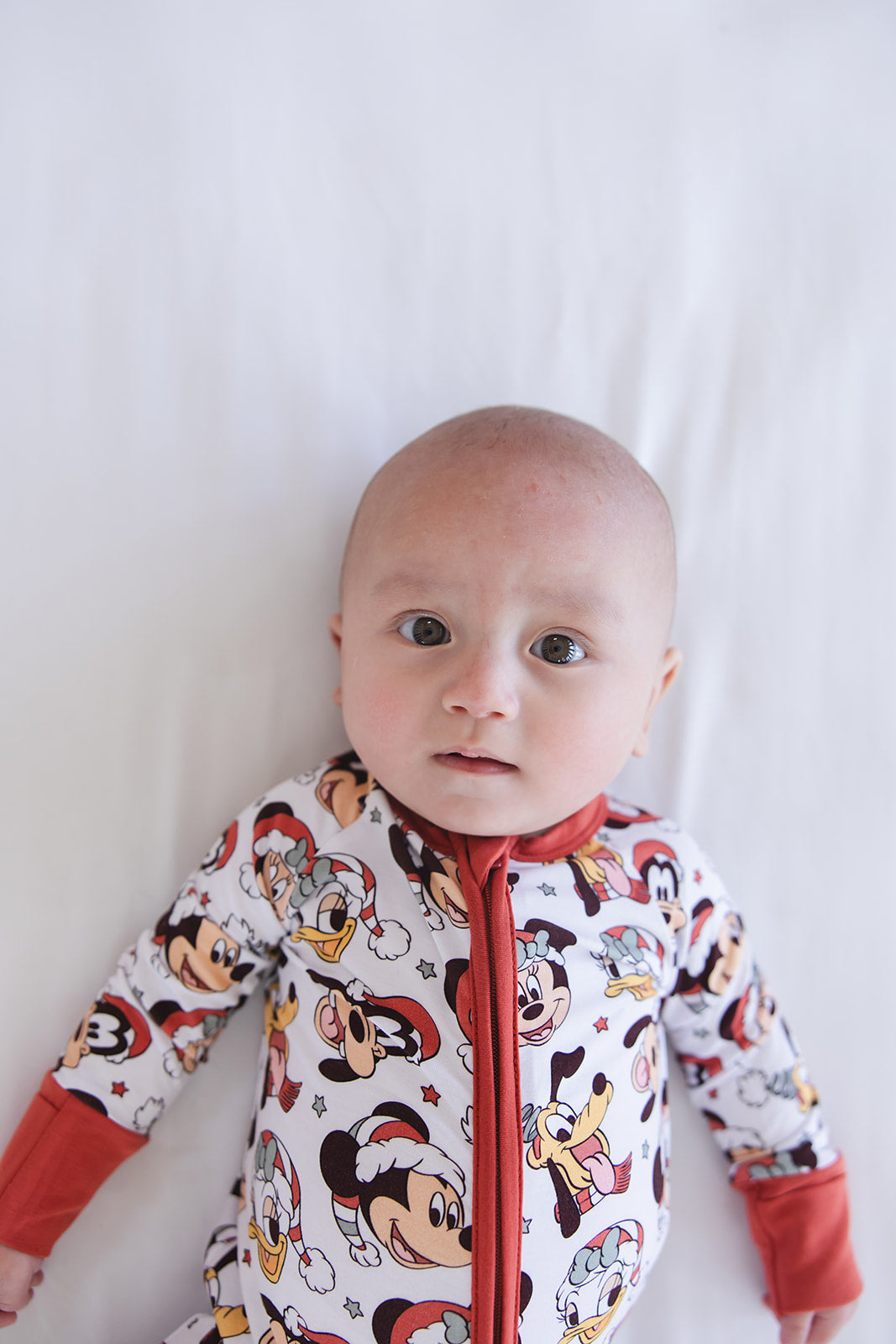 Very Merry Christmas - Zippy