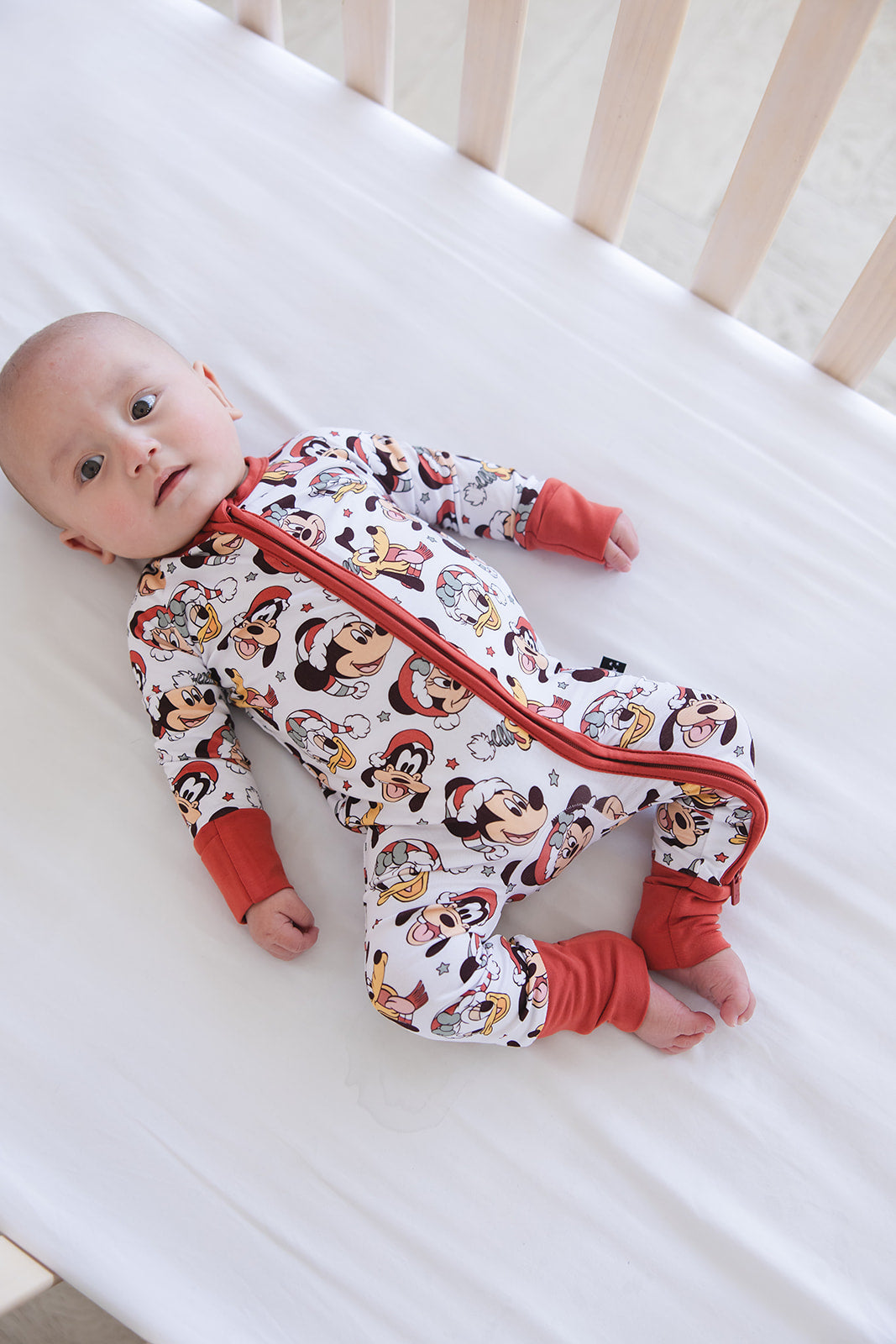 Very Merry Christmas - Zippy