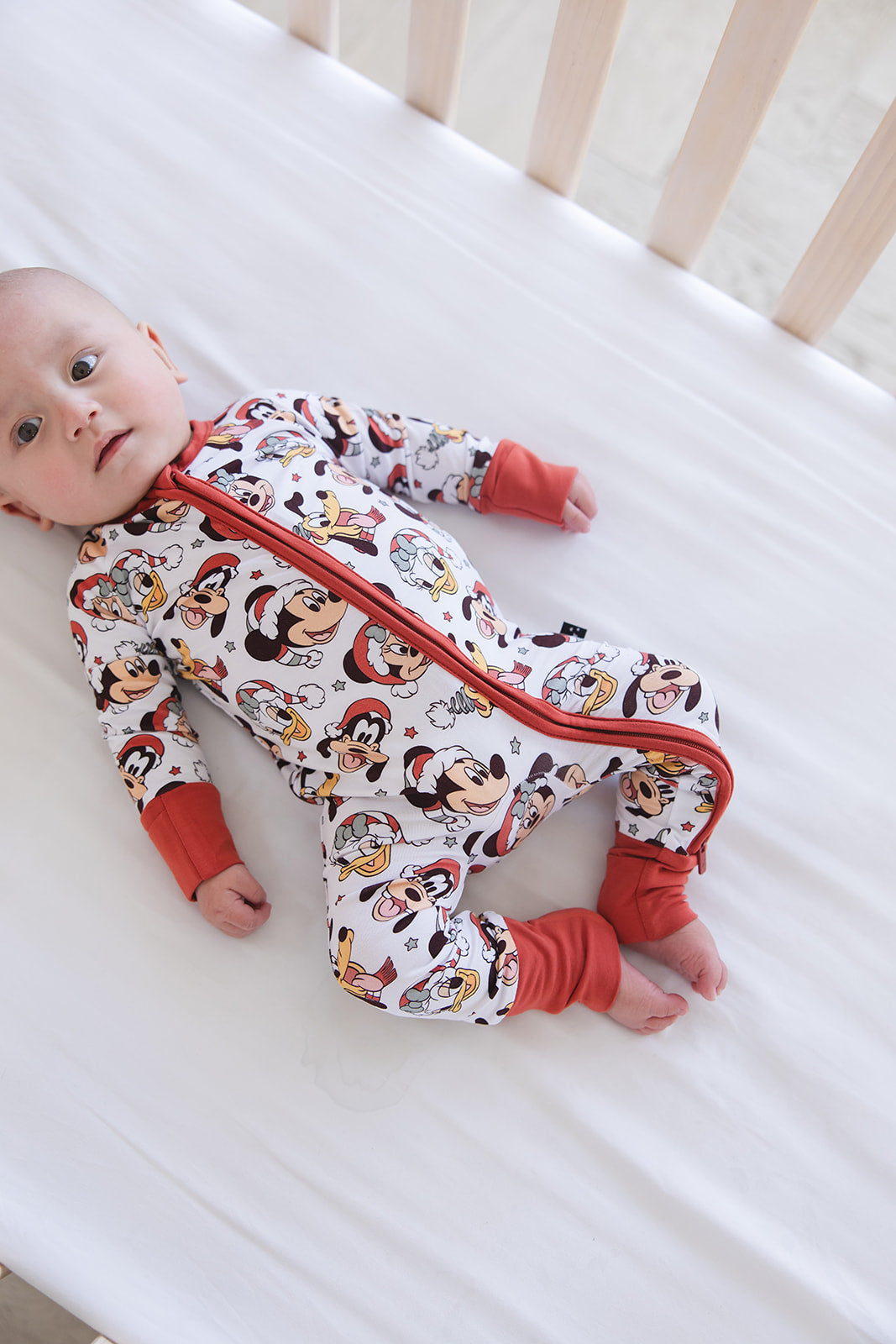 Very Merry Christmas - Zippy