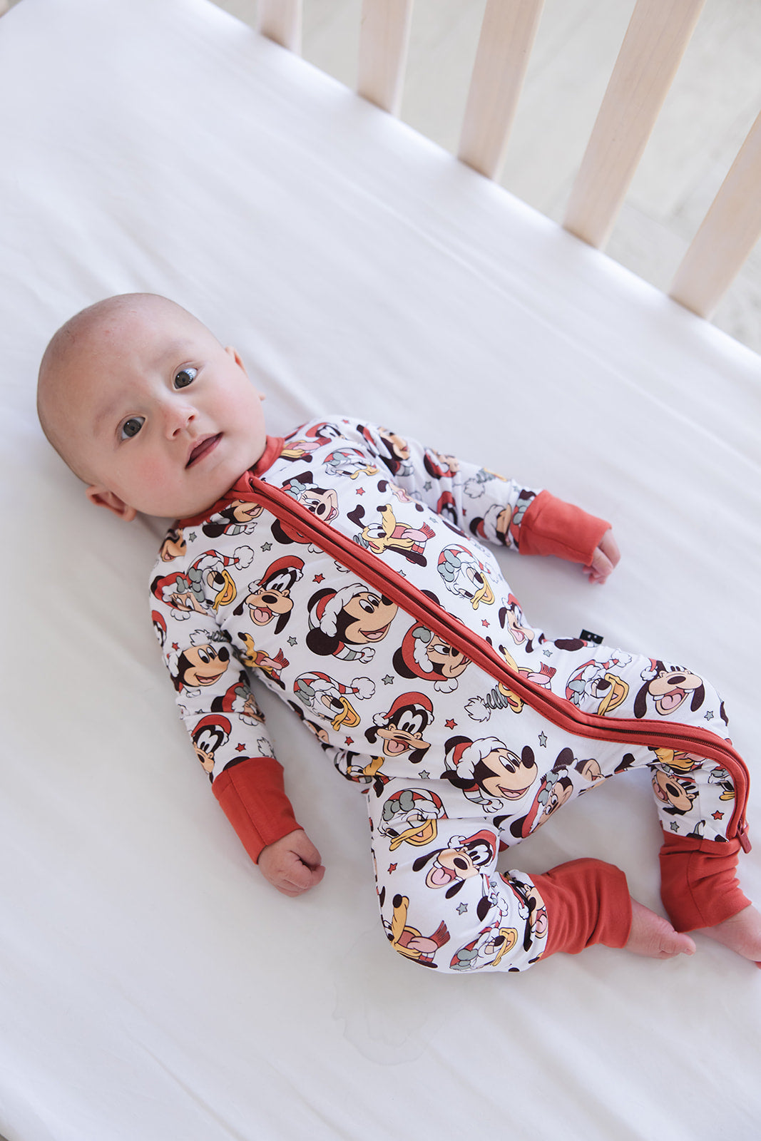 Very Merry Christmas - Zippy