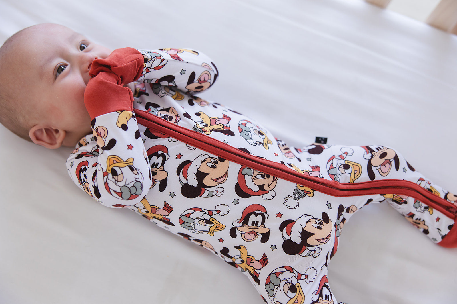 Very Merry Christmas - Zippy