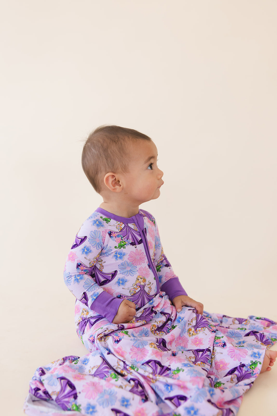 The Lost Princess - Zippy