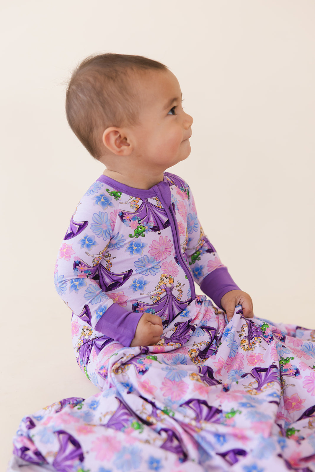 The Lost Princess - Zippy