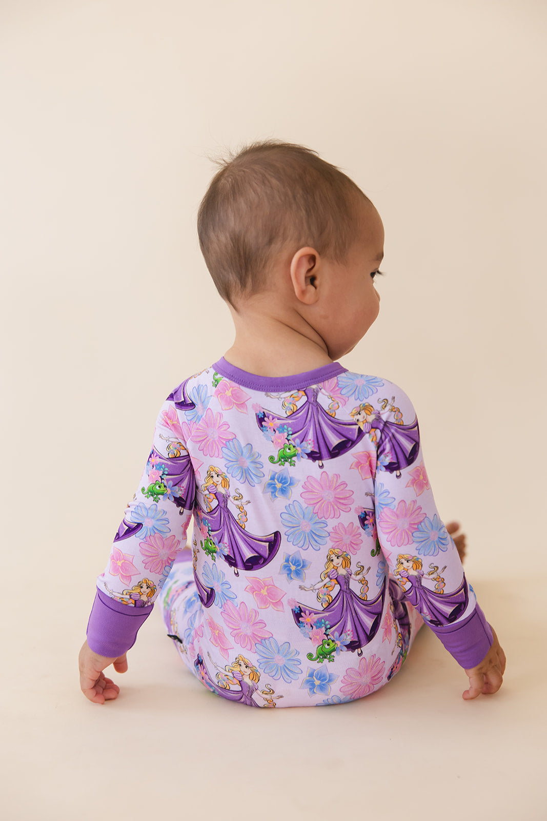 The Lost Princess - Zippy