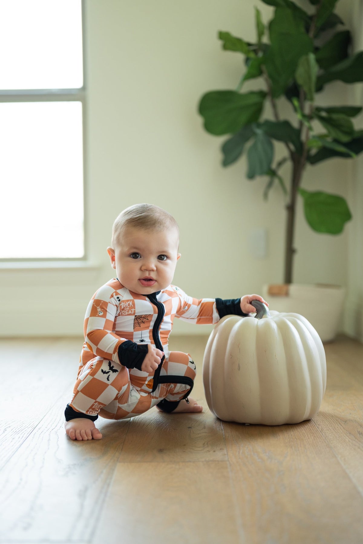 Check-or-treat Convertible Zippee
