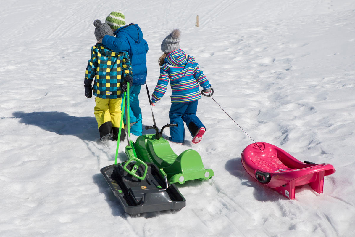 Snow Fox Sled