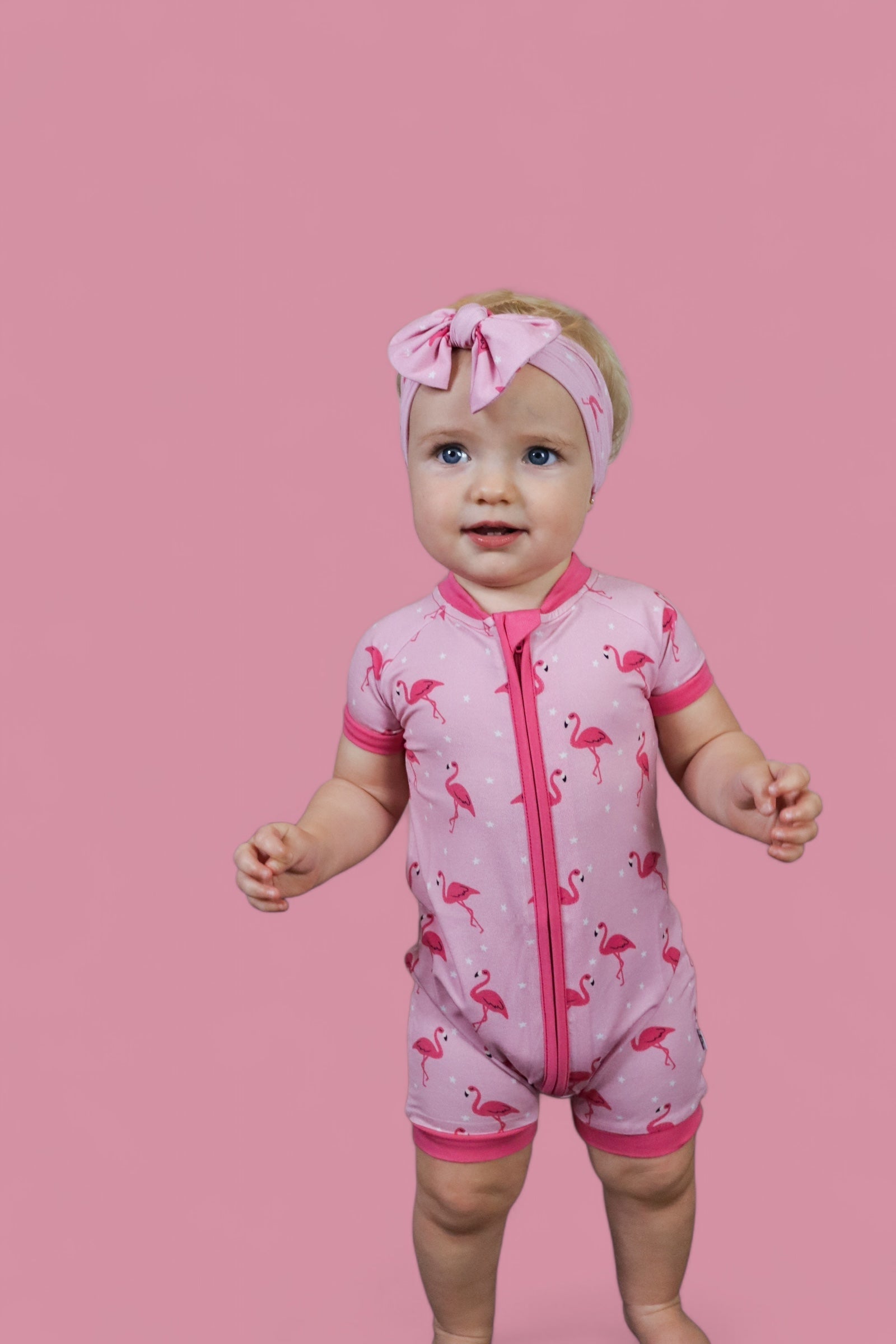 Flocking Flamingos Dream Shortie