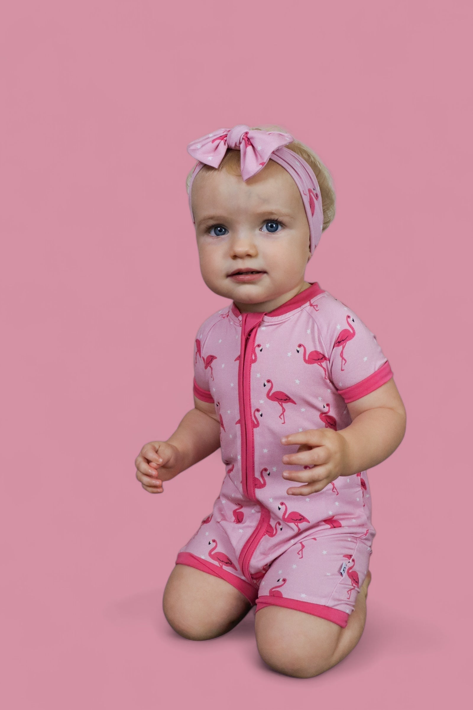 Flocking Flamingos Dream Shortie