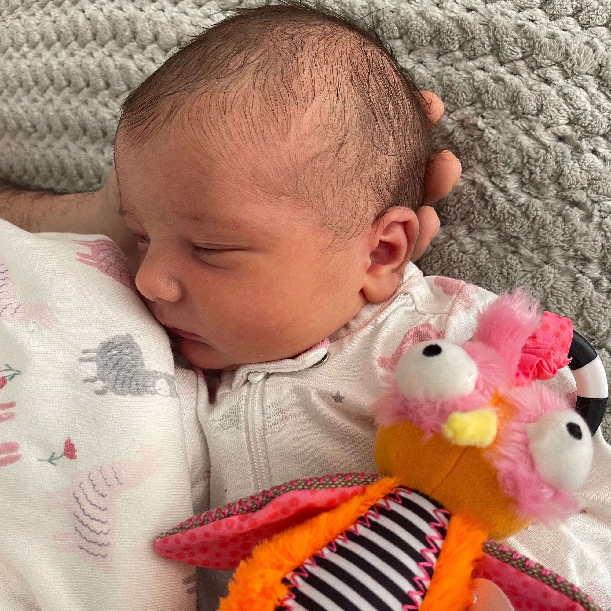 Ollie The Oddball Oddbird Chime & See Atachable Hanging Activity Toy