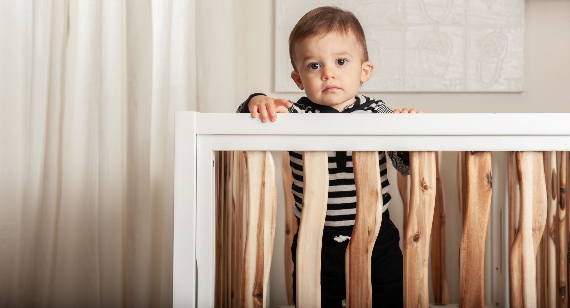 Branch Convertible Crib