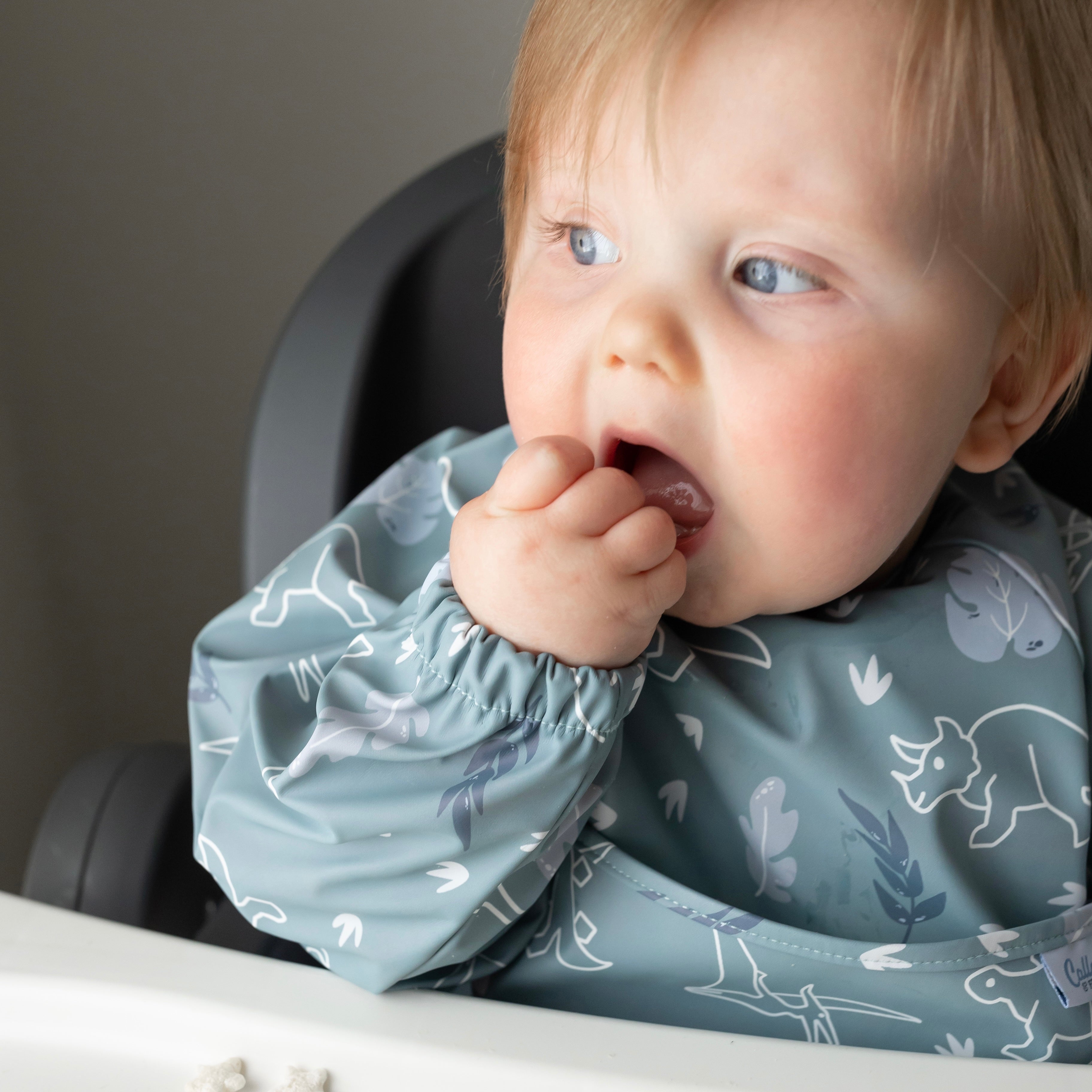 The Grayson Long Sleeve Bib - Dino