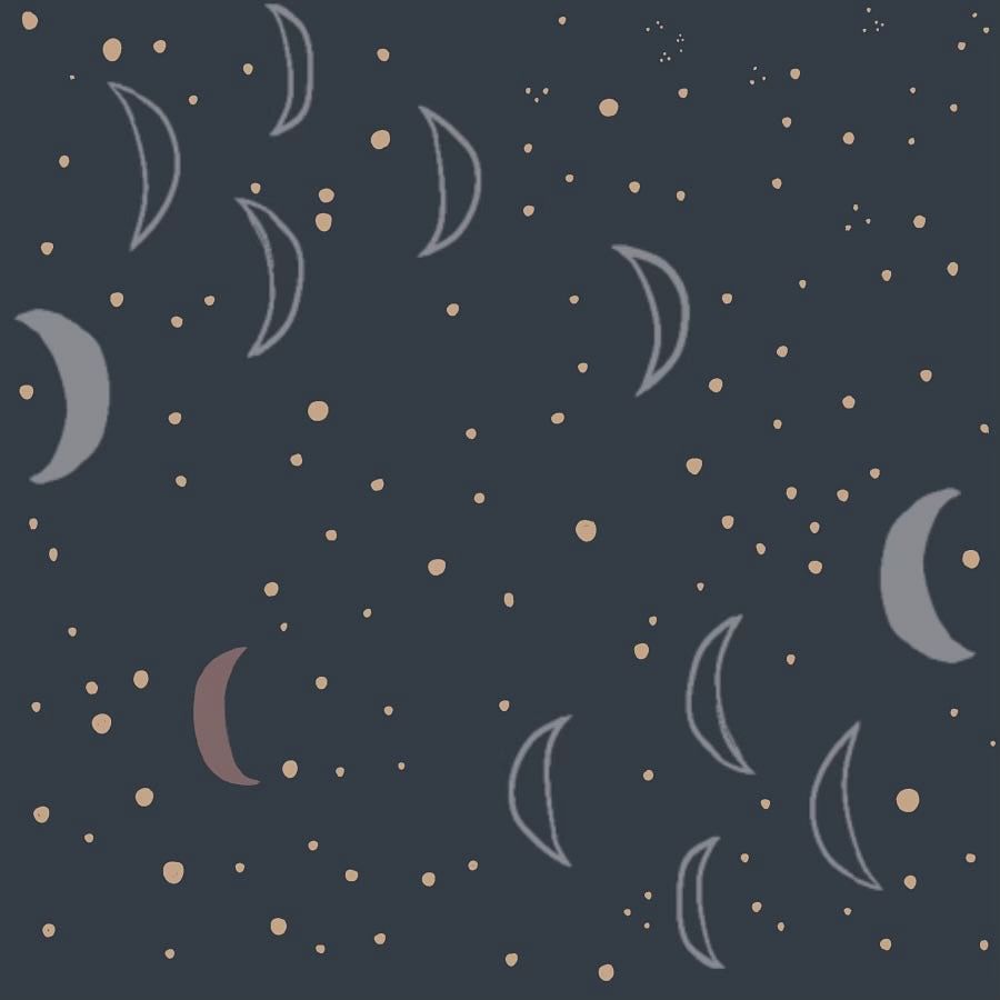 Crescent Moons Rashguard Set (top And Bottom)