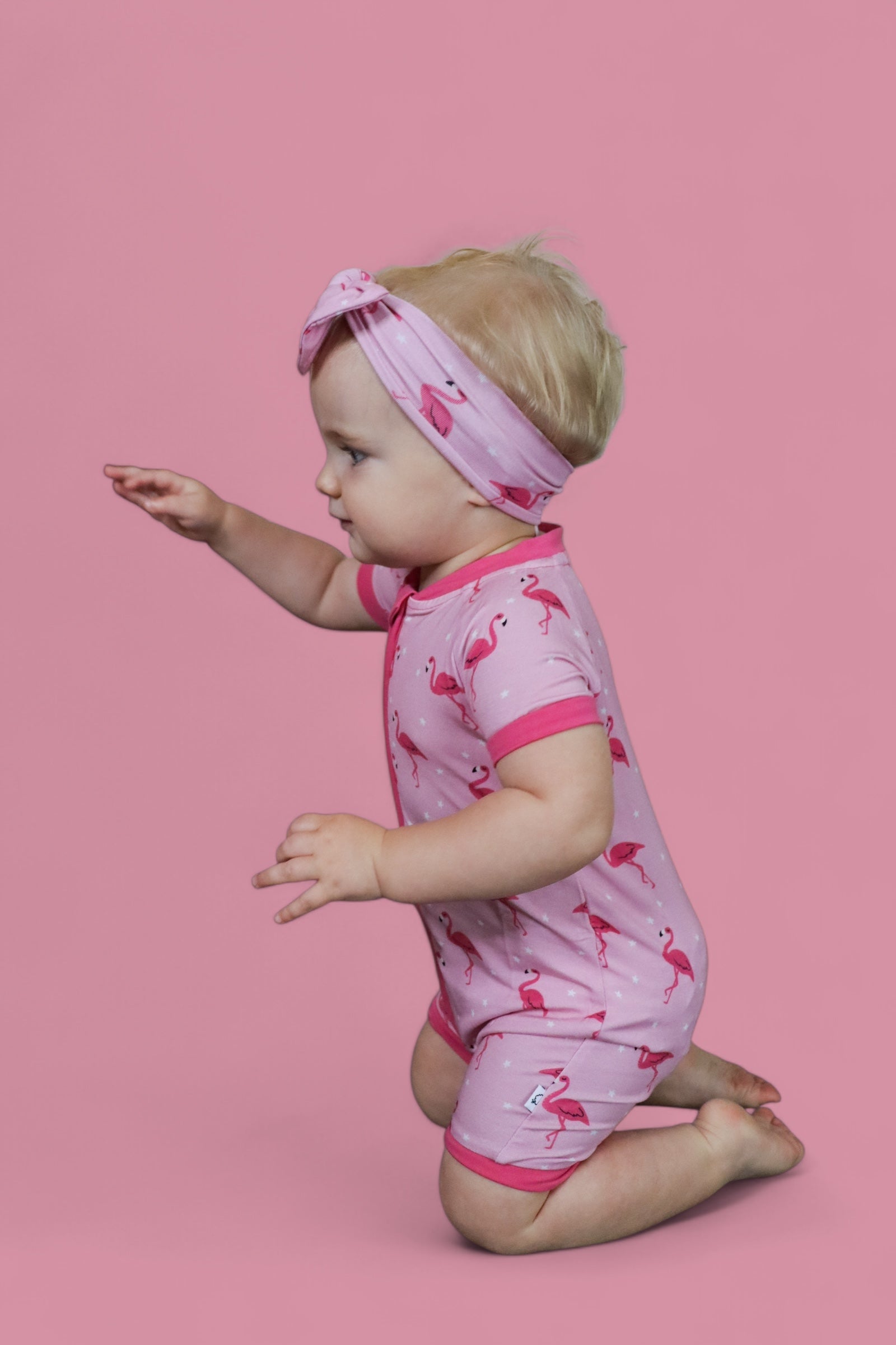 Flocking Flamingos Dream Shortie