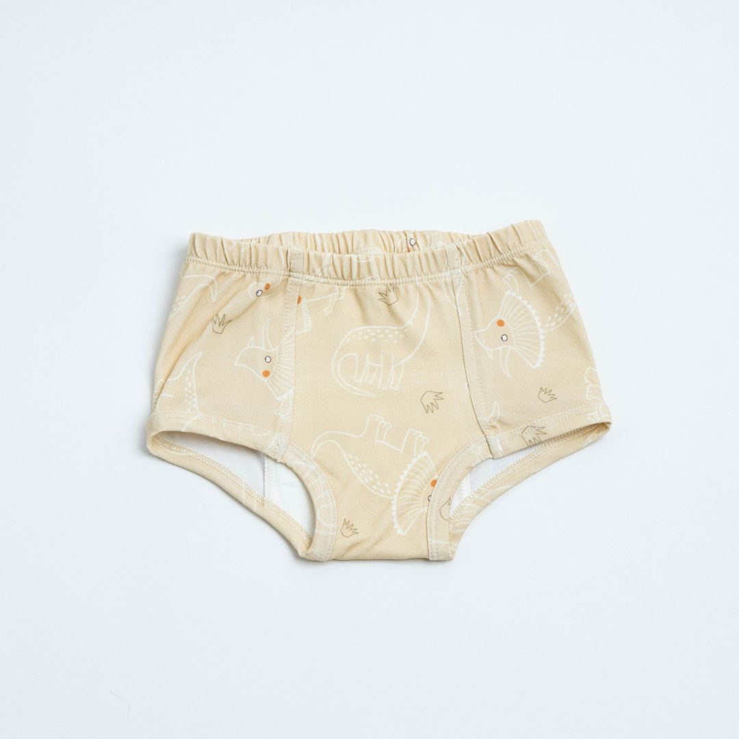 Adventure-ready Organic Potty Training Underwear (4 Pack)