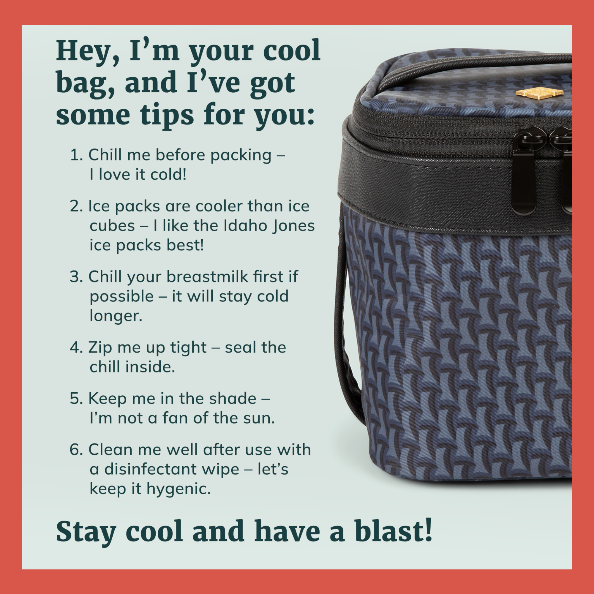 Breastmilk Cooler Bag - Roxwell