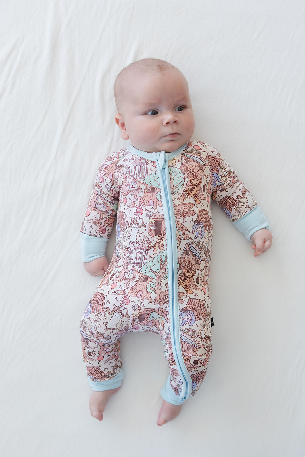 Hundred Acre Wood - Zippy