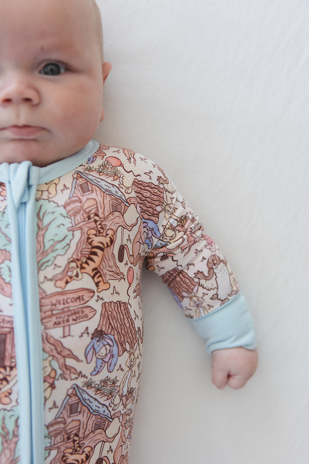 Hundred Acre Wood - Zippy