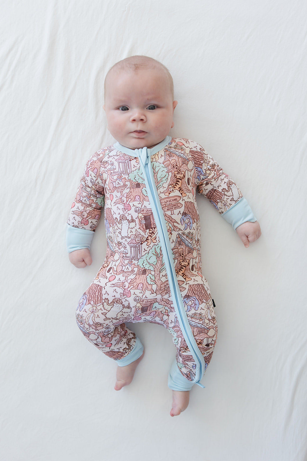 Hundred Acre Wood - Zippy