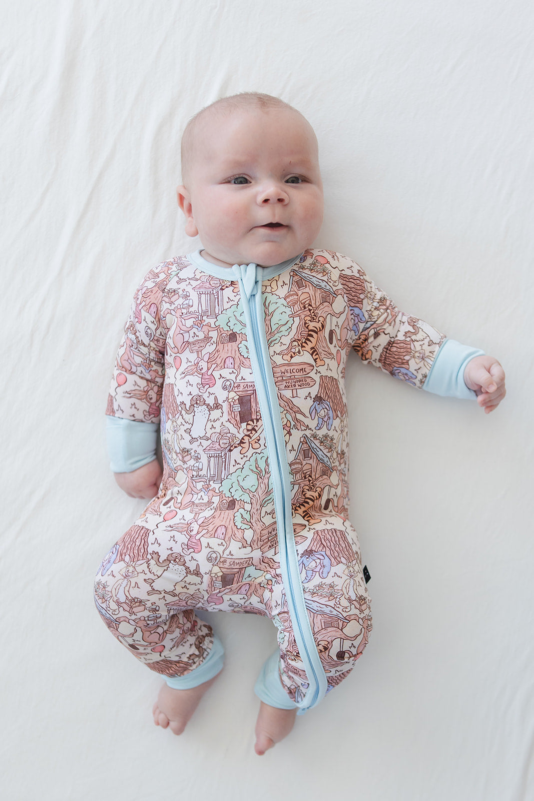 Hundred Acre Wood - Zippy