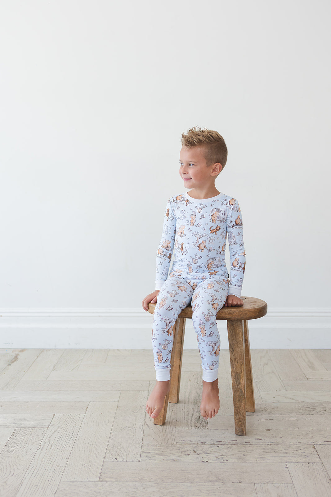 Silly Old Bear - Set