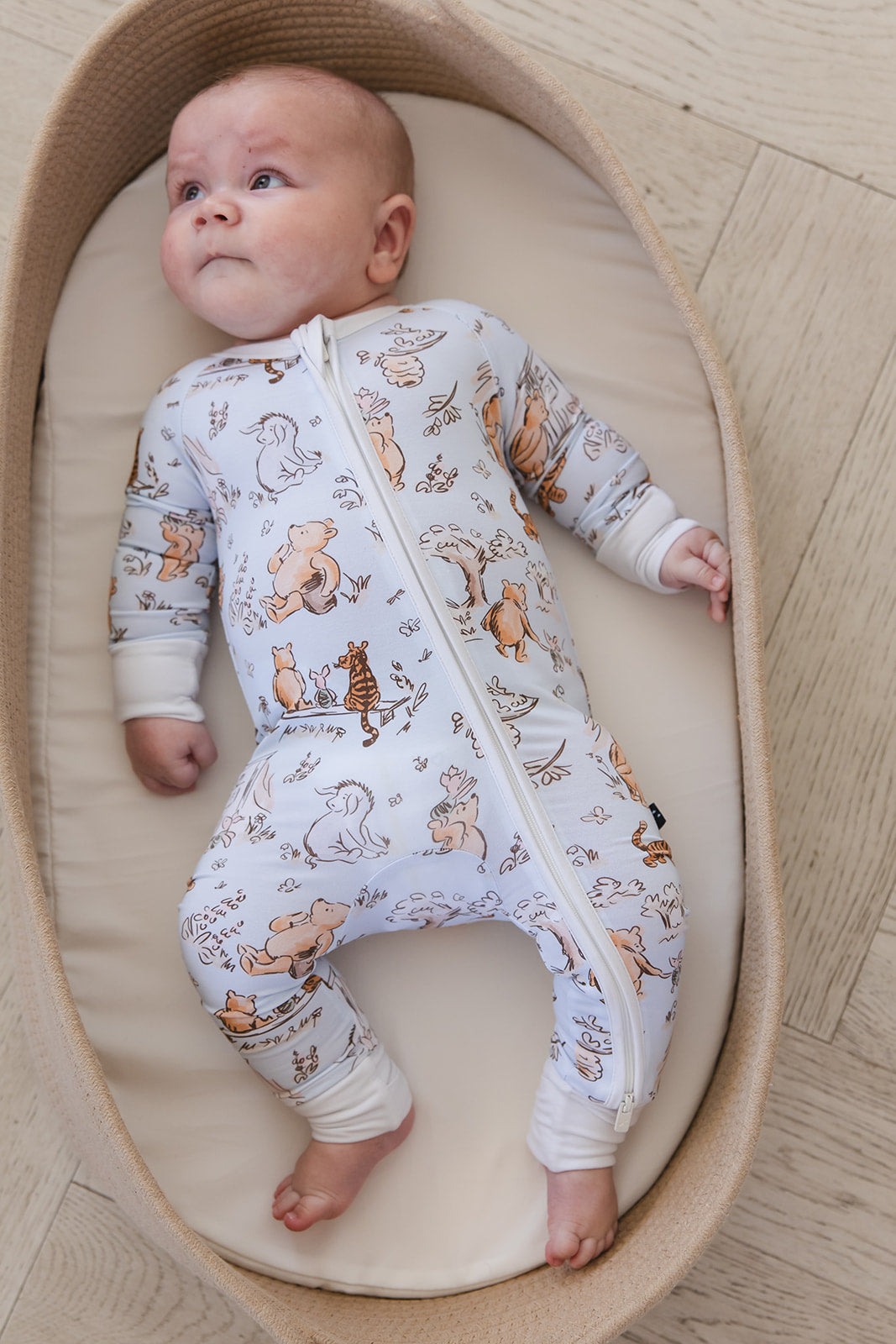 Silly Old Bear -  Zippy