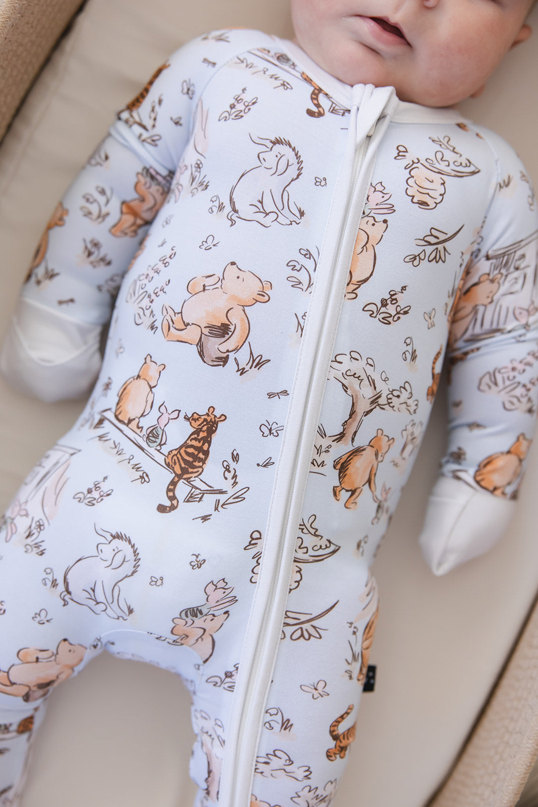 Silly Old Bear -  Zippy