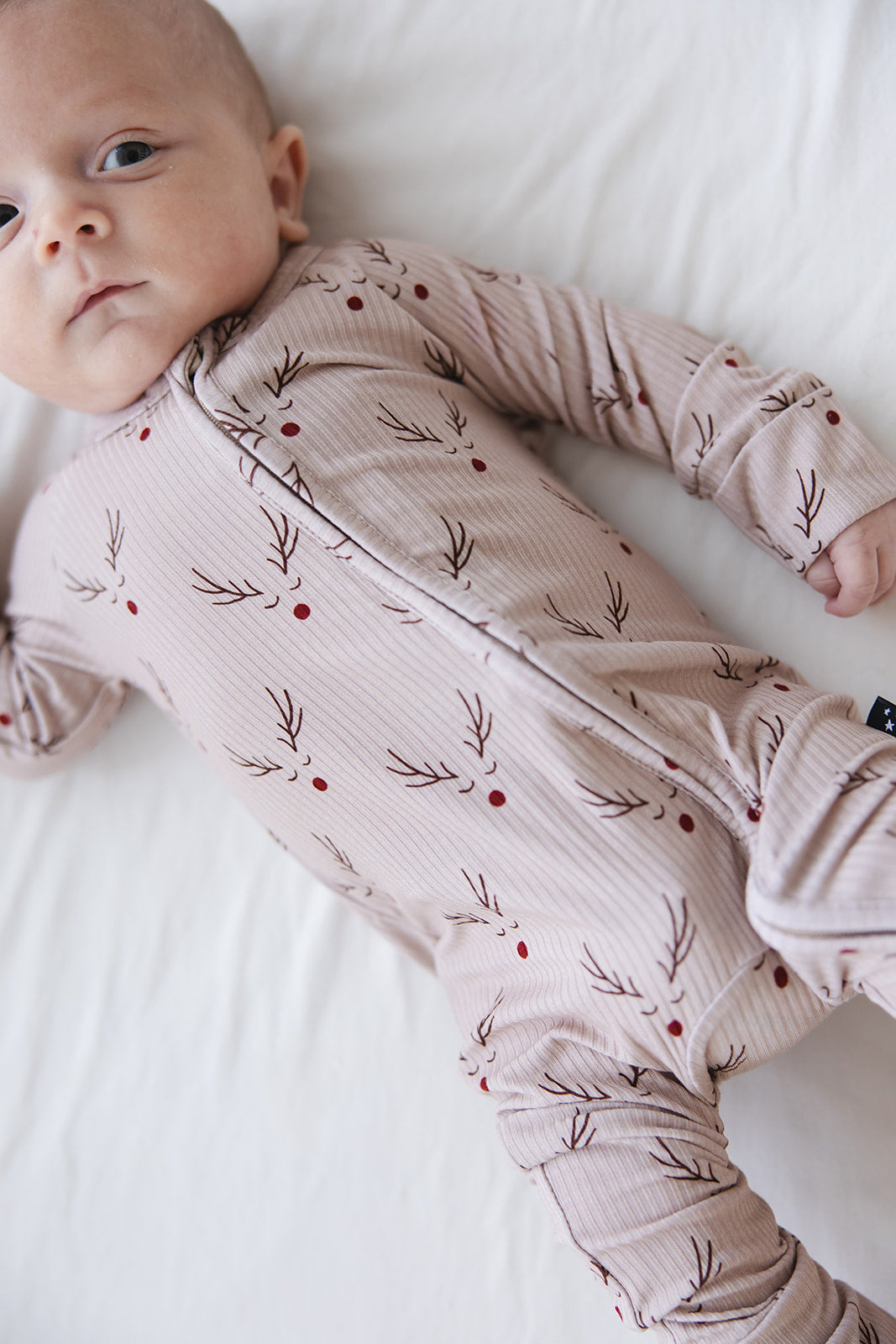 Reindeer Ridge (ribbed) - Zippy