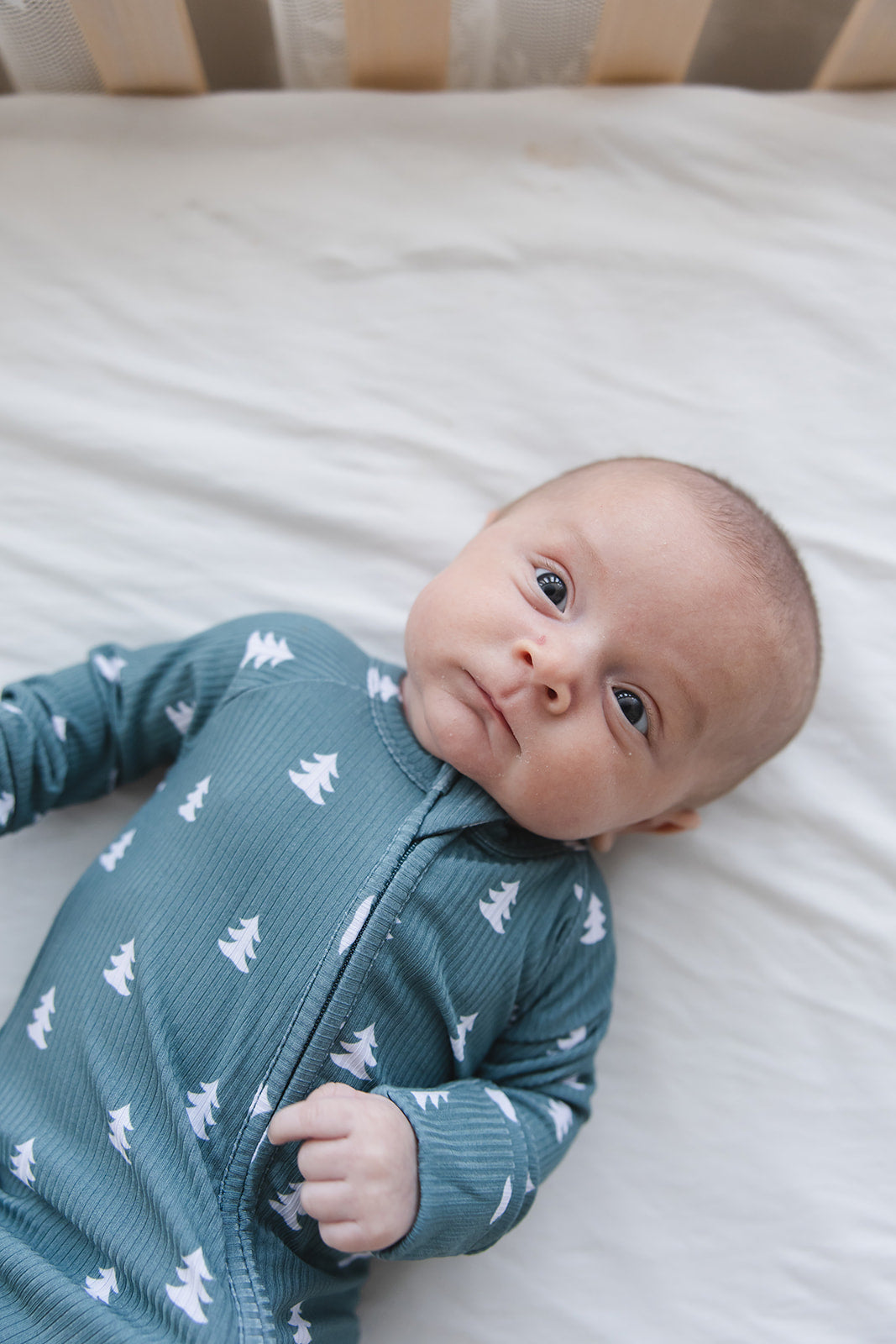 Northern Pine (ribbed) - Zippy