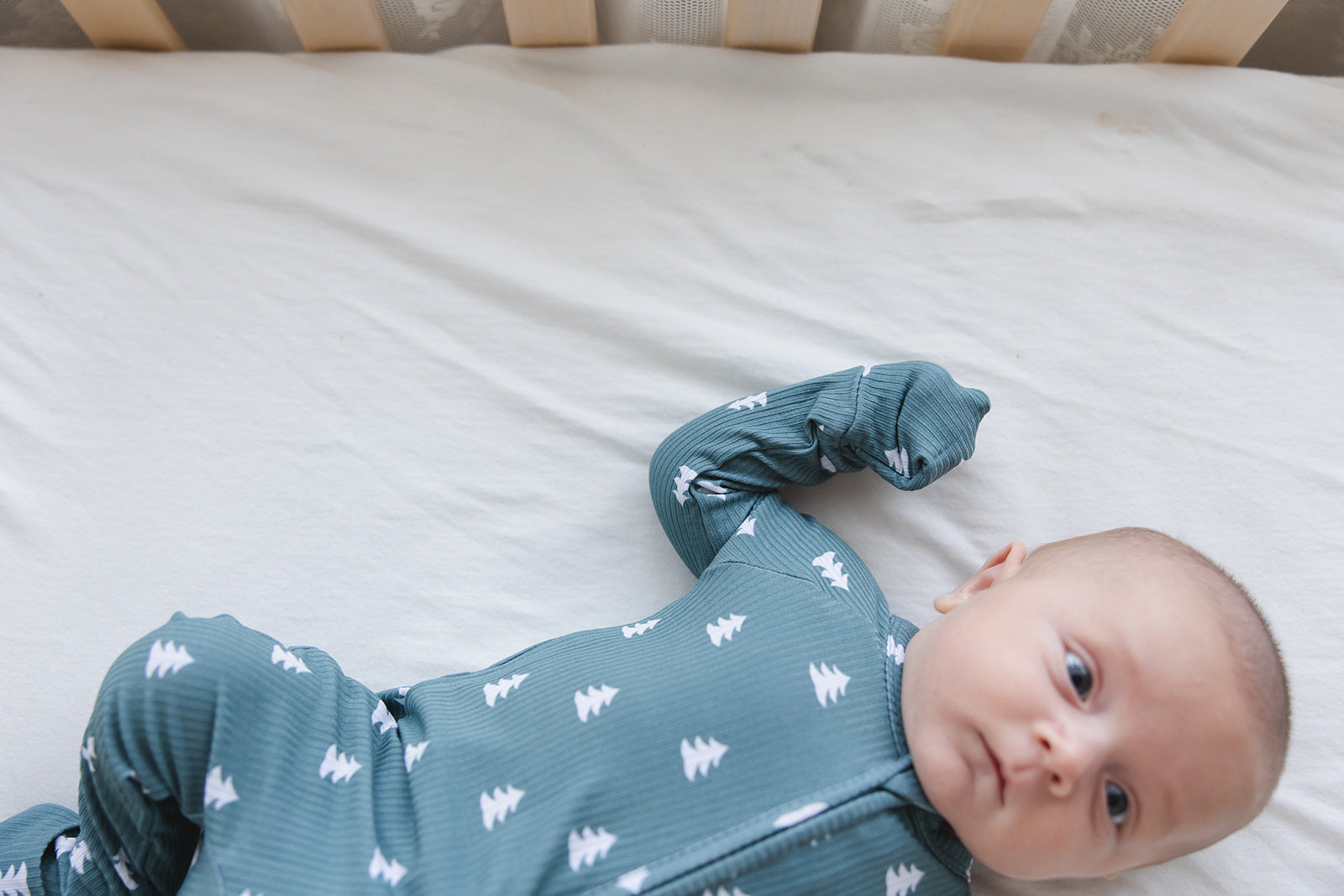 Northern Pine (ribbed) - Zippy