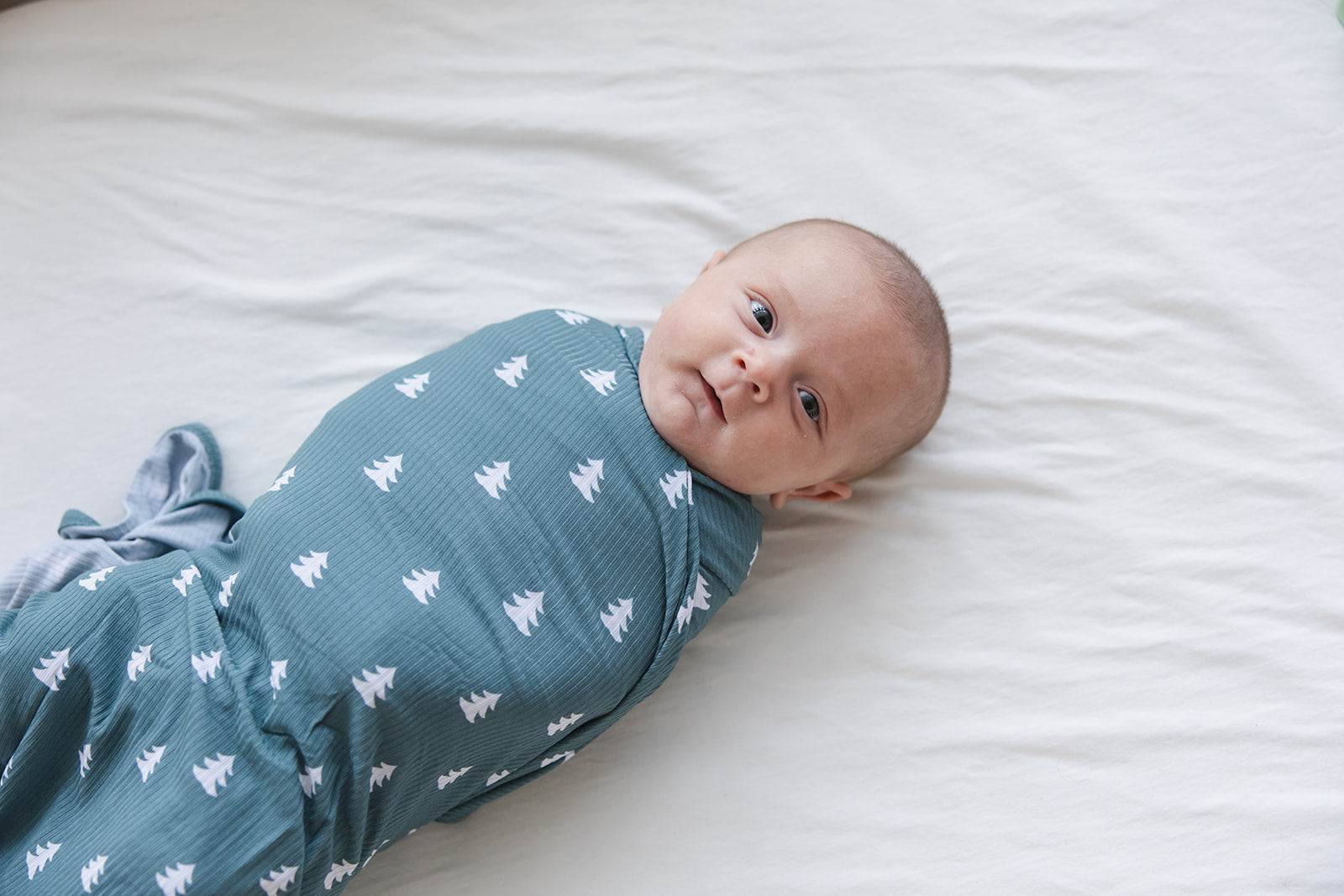 Northern Pine (ribbed) - Lightweight Blanket