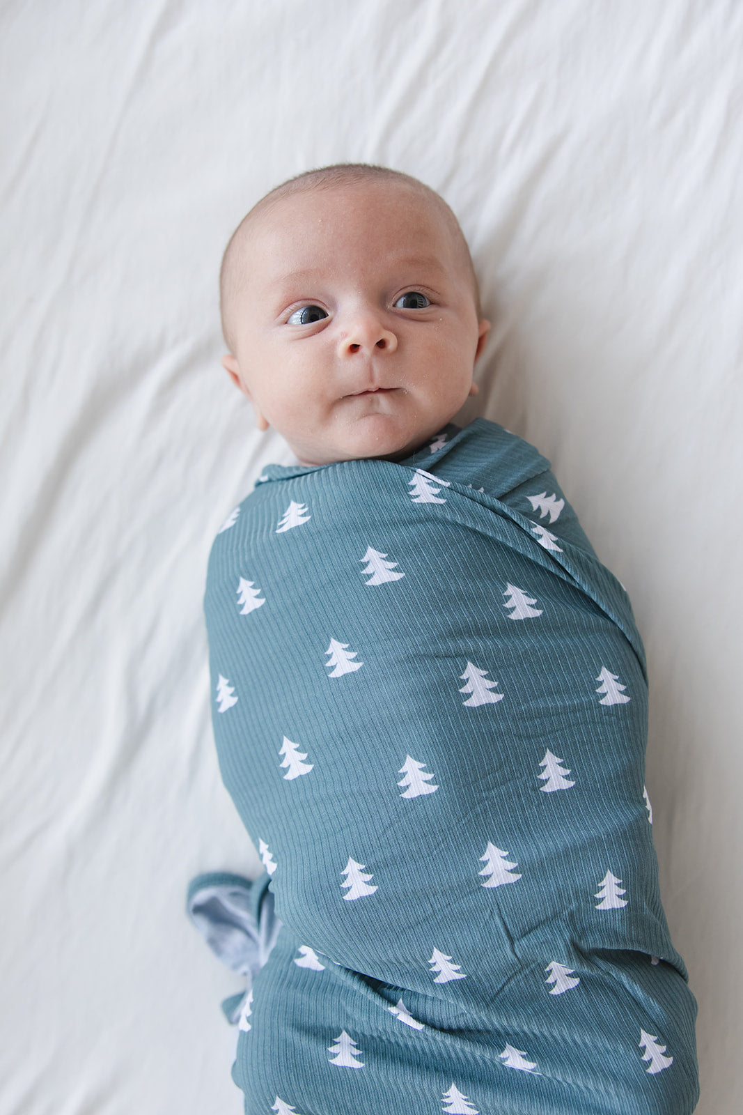 Northern Pine (ribbed) - Lightweight Blanket