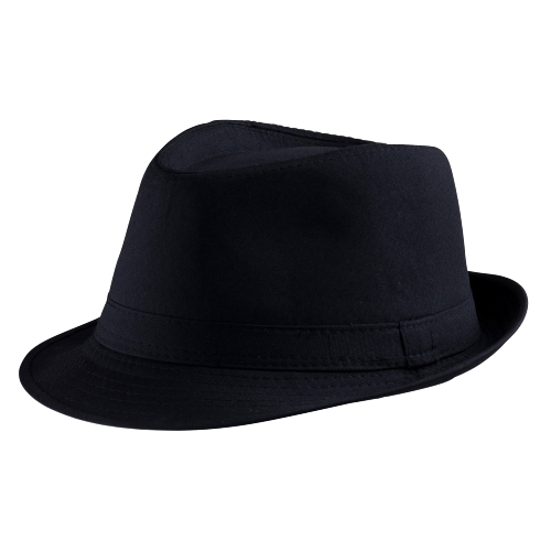 Fedora Hat