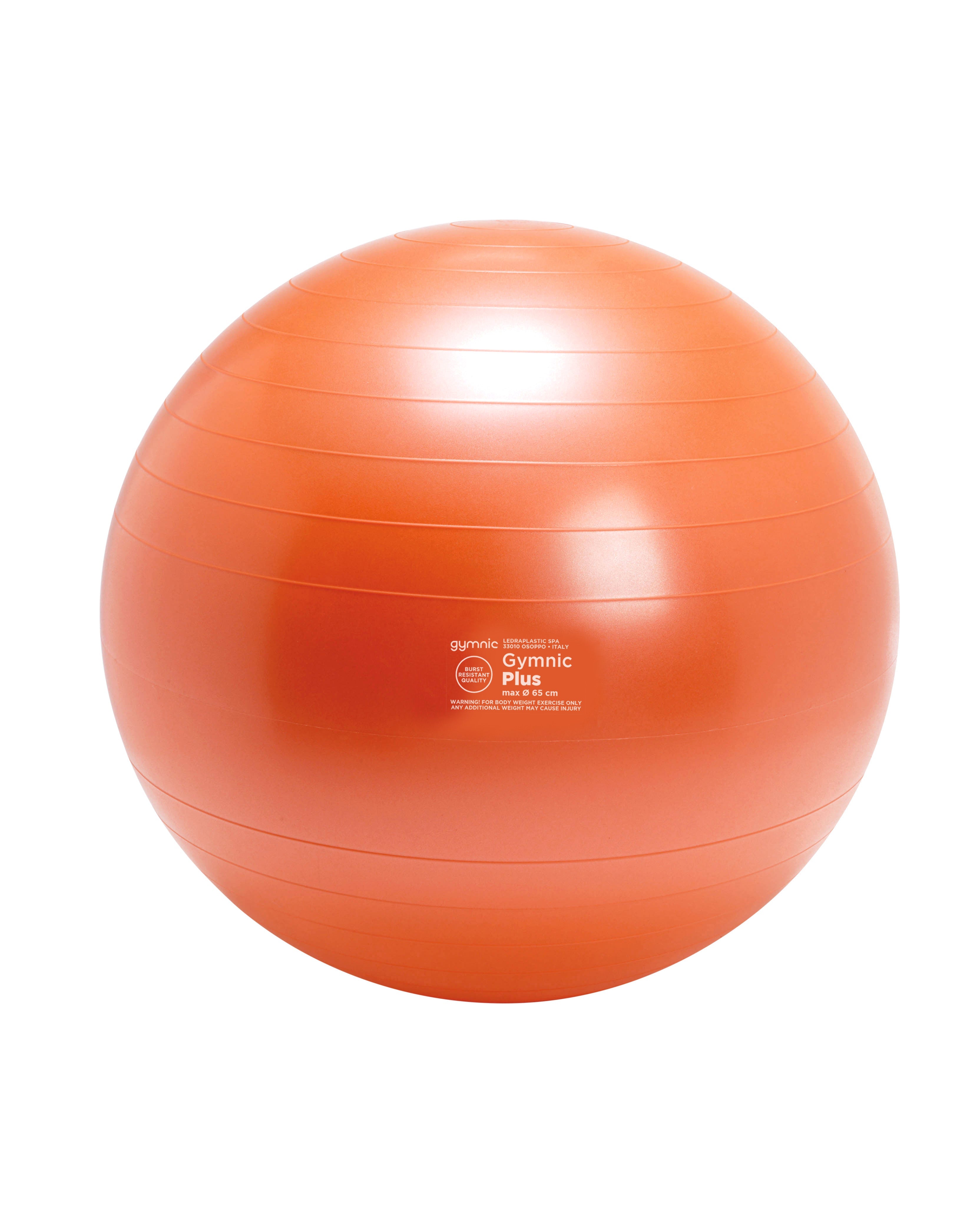 Gymnic Plus BRQ Physiotherapy Balls