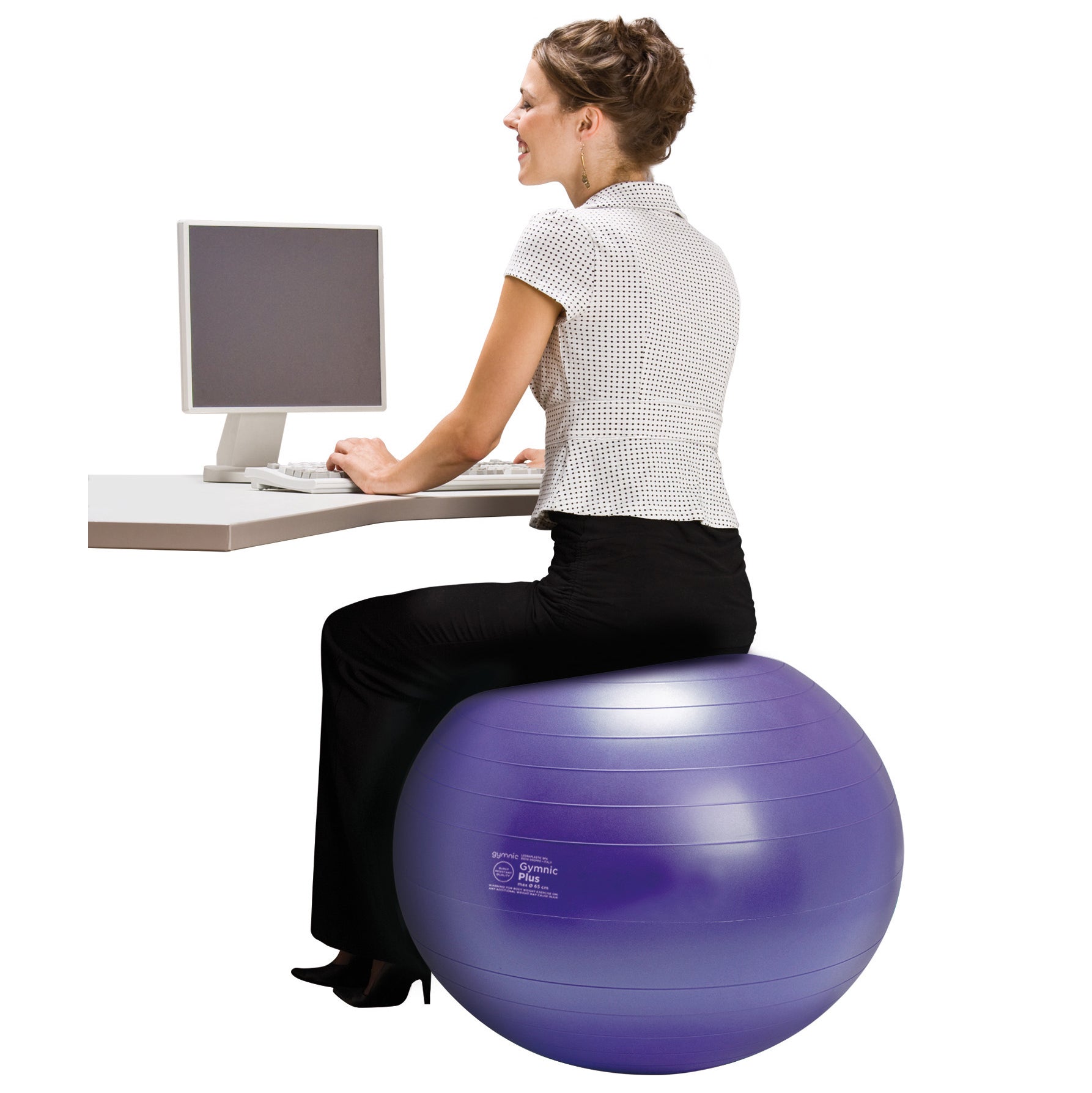 Gymnic Plus BRQ Physiotherapy Balls