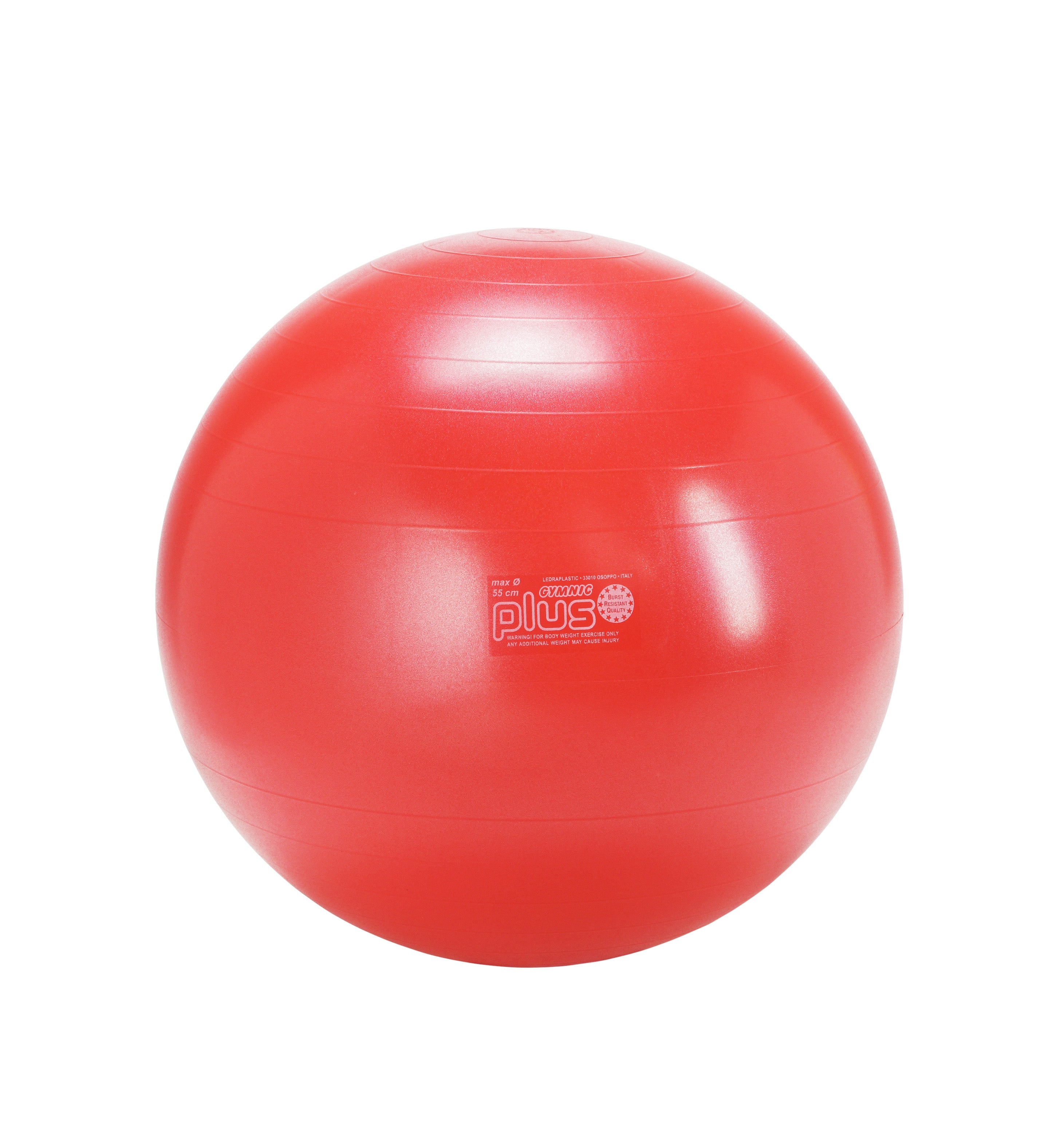 Gymnic Plus BRQ Physiotherapy Balls