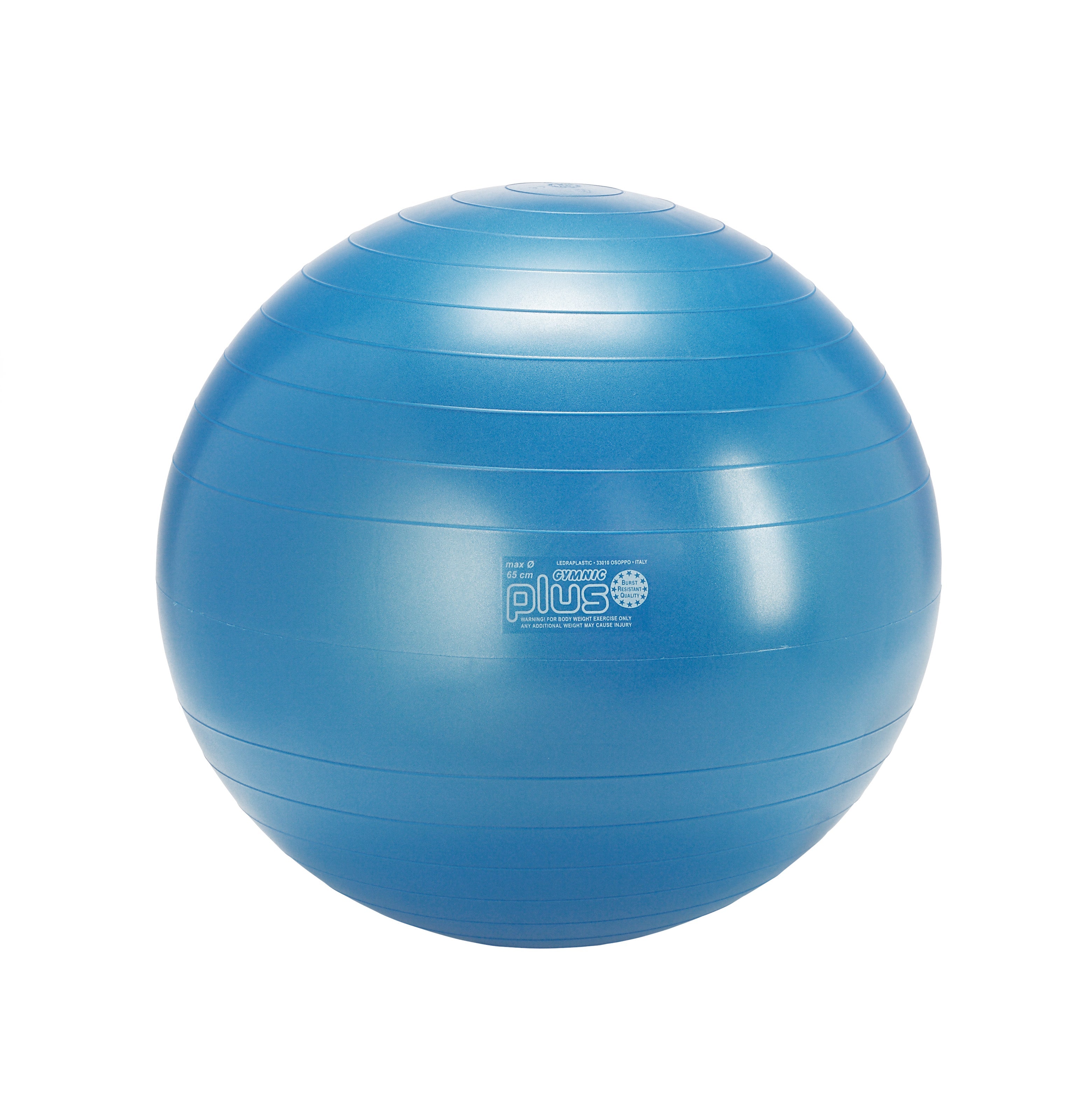 Gymnic Plus BRQ Physiotherapy Balls