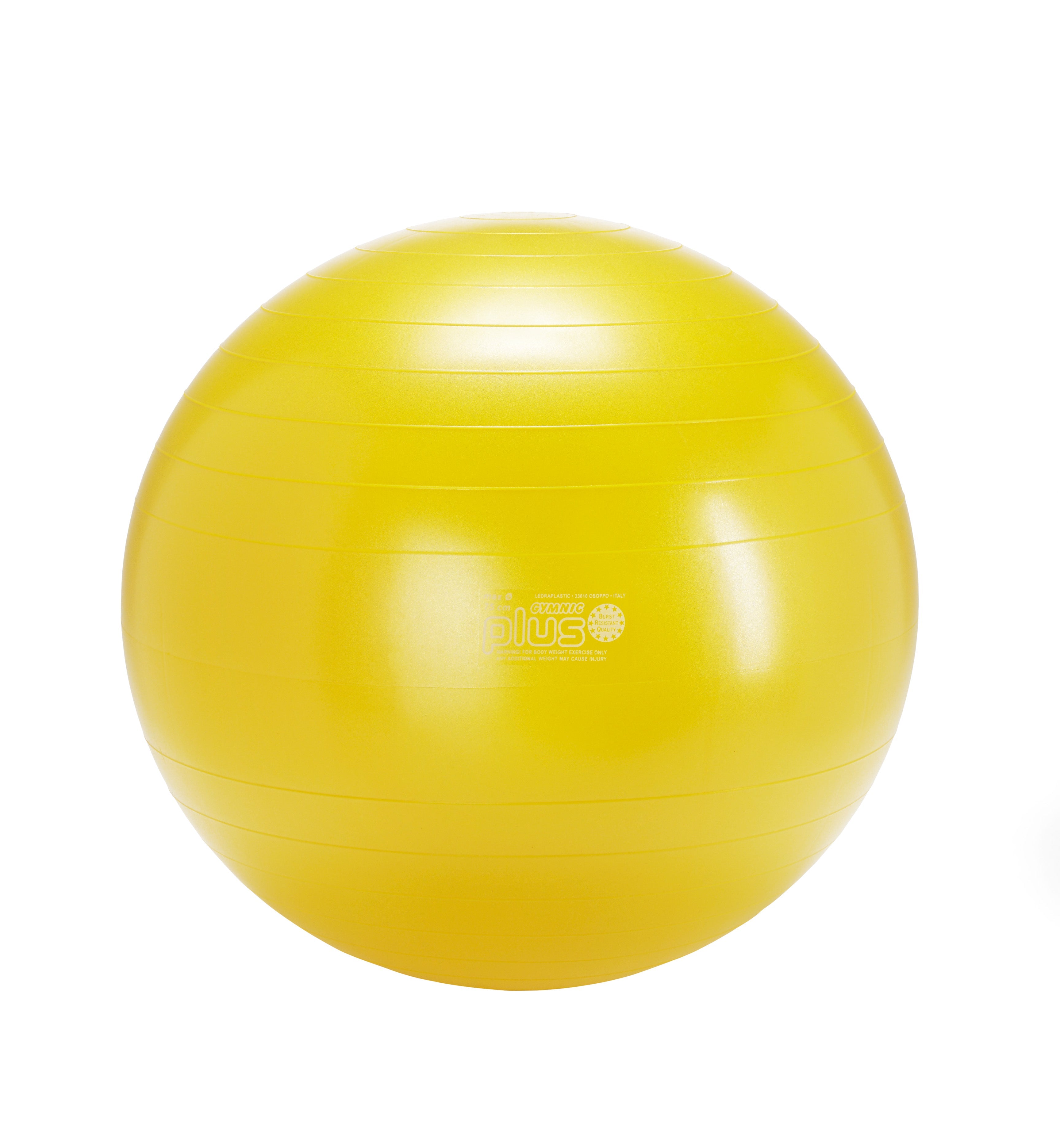 Gymnic Plus BRQ Physiotherapy Balls